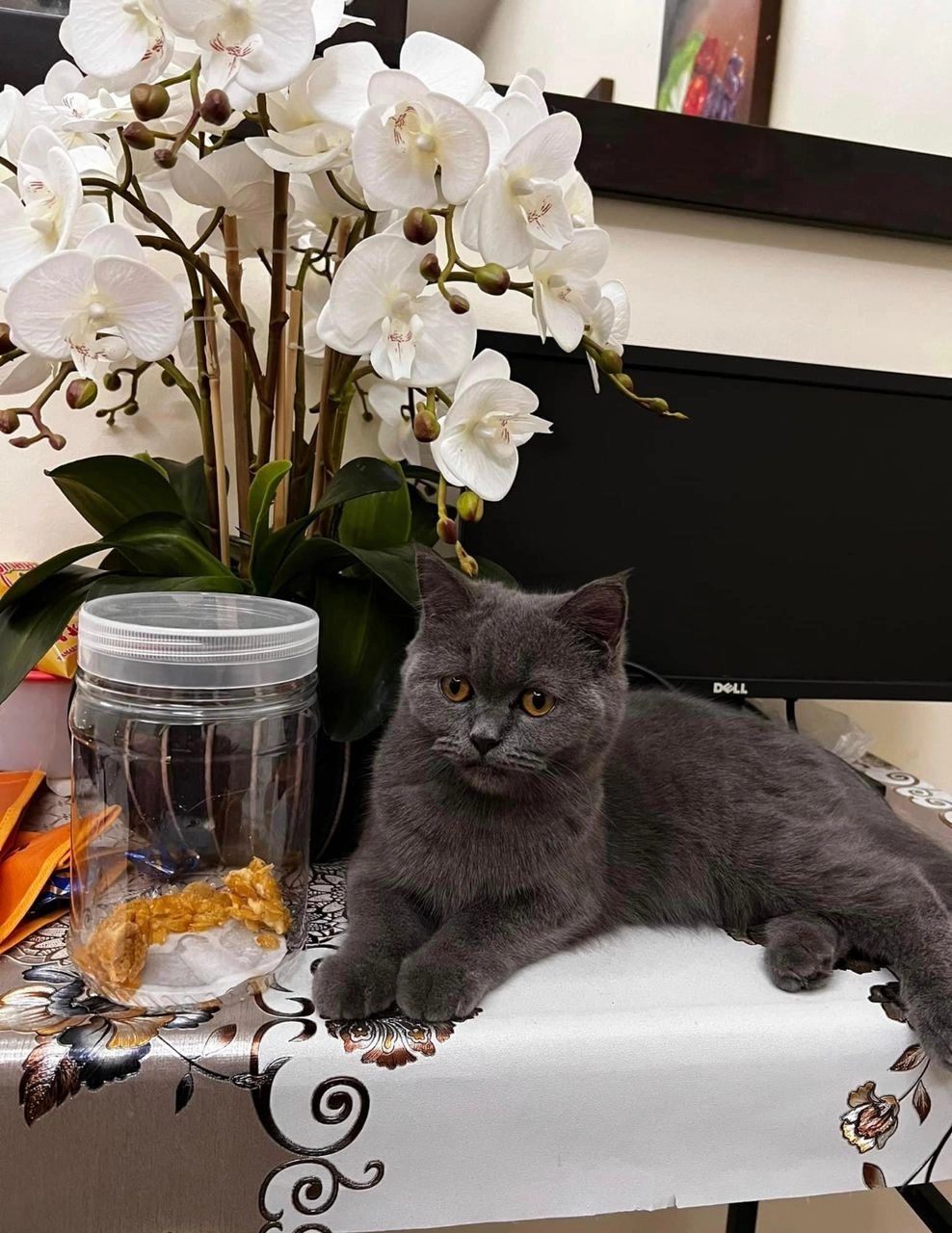 Leona - Jalan Sari Ilham 1/2, Semenyih