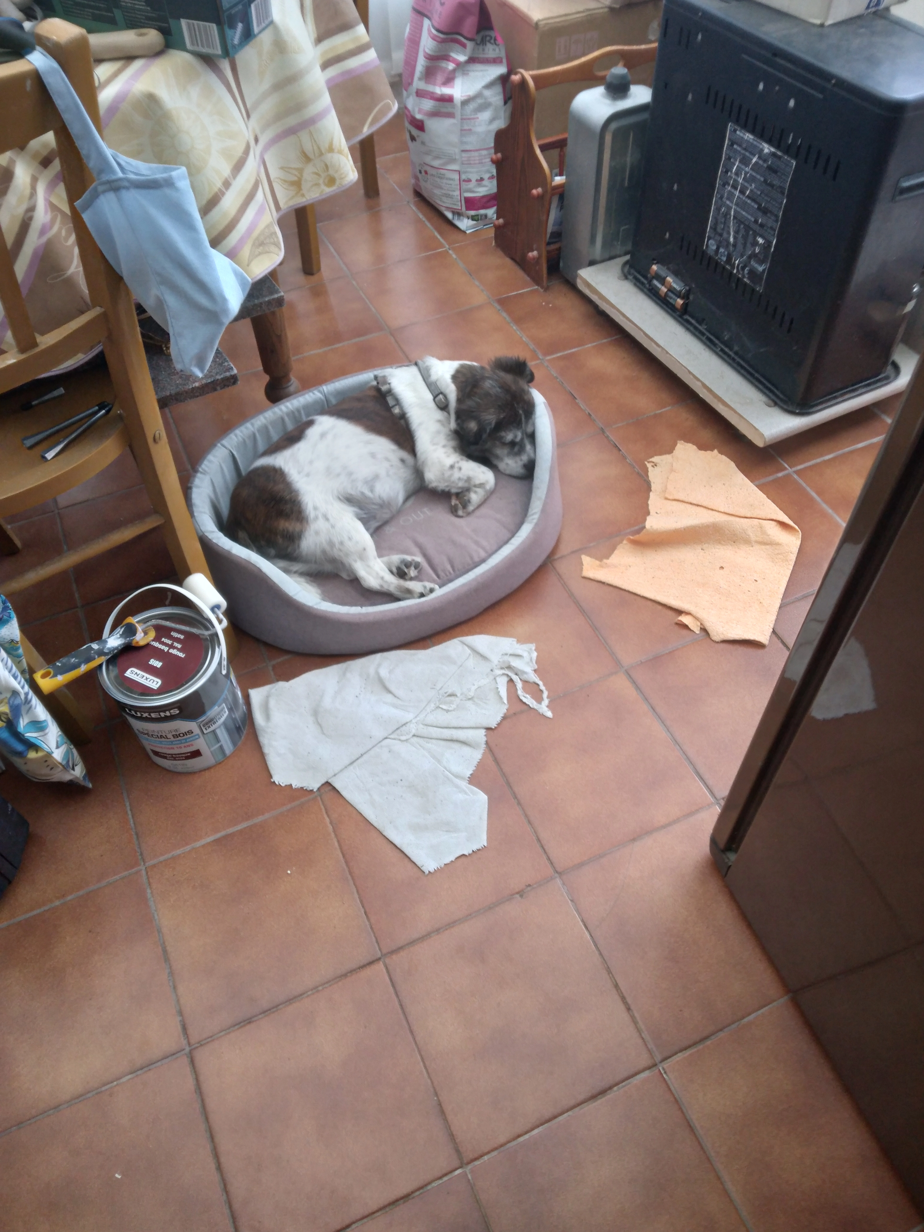 Maya  - Rue Albert Camus, Fitz-James