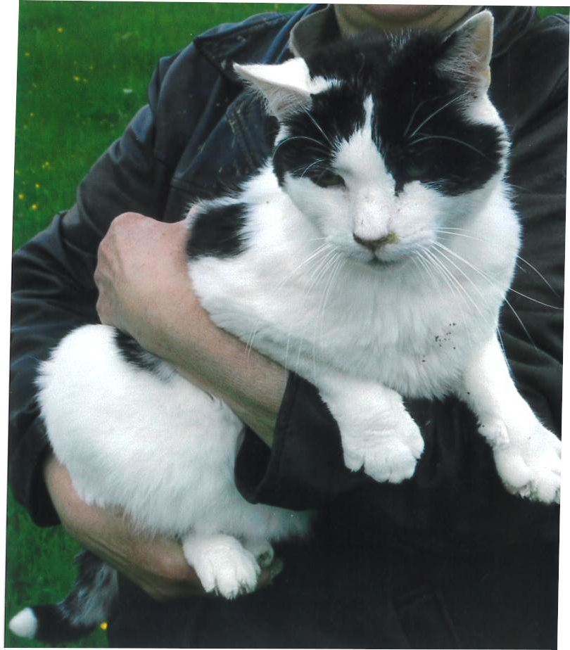 LOUIS - Chez Poineau, Gouex