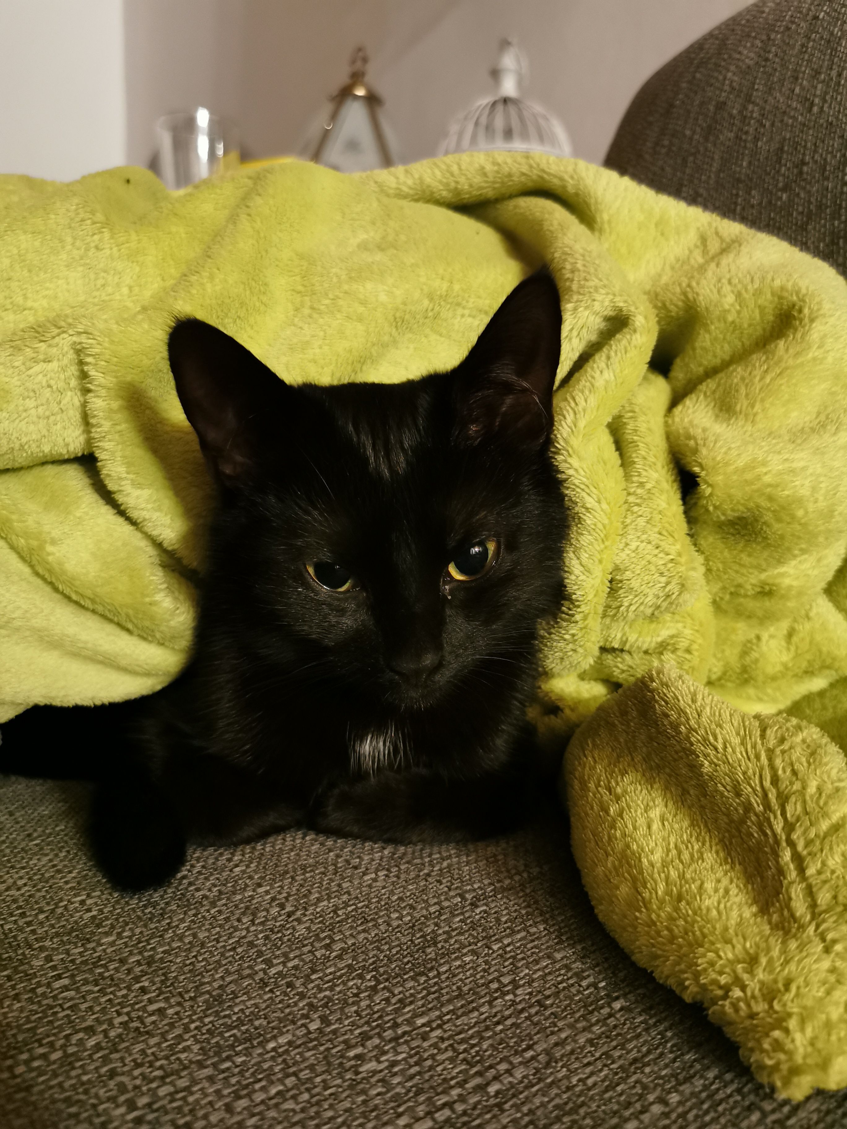 Ronja - Telemannstraße, Northeim