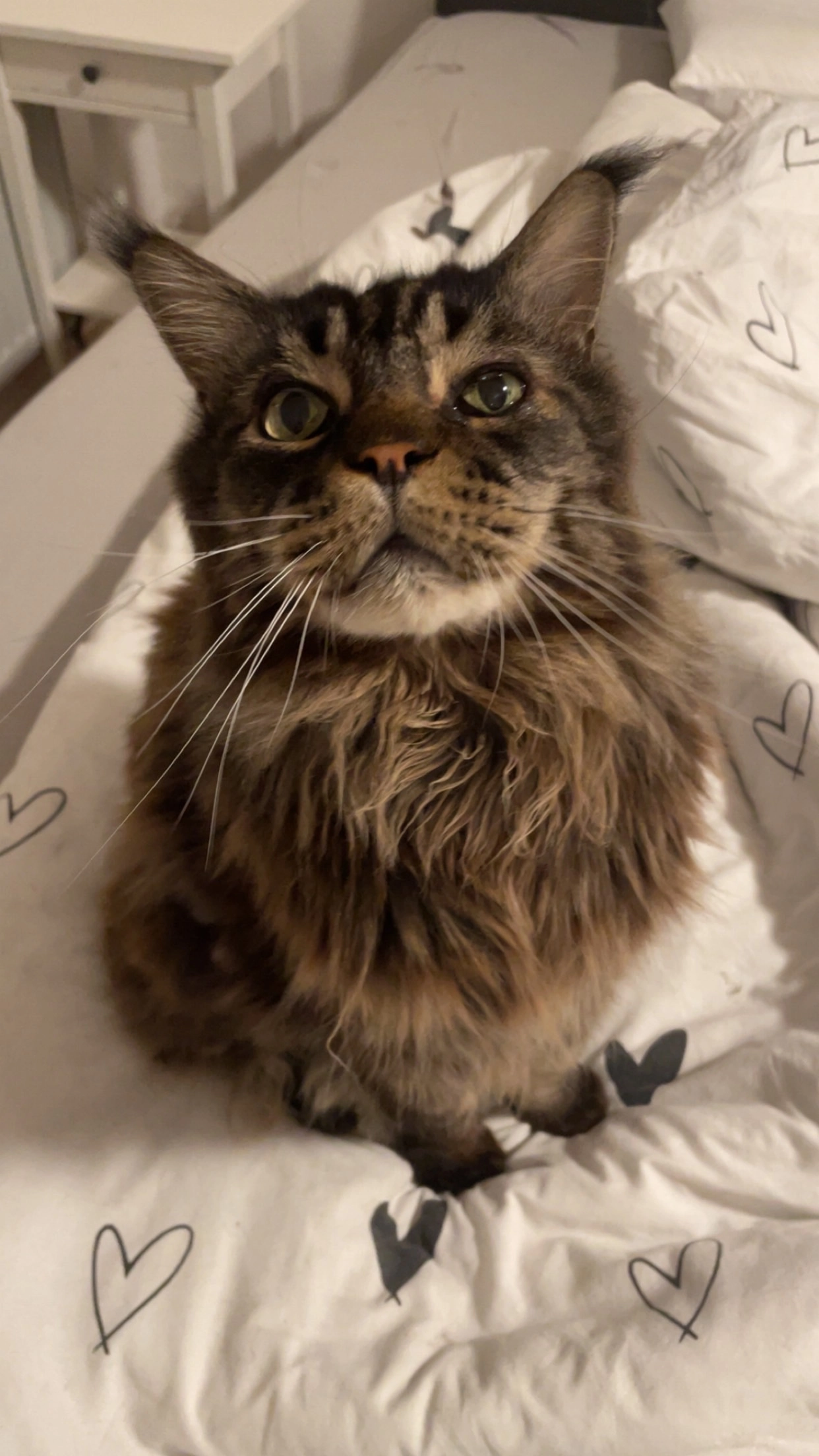 Karim - Malteserweg, Altötting