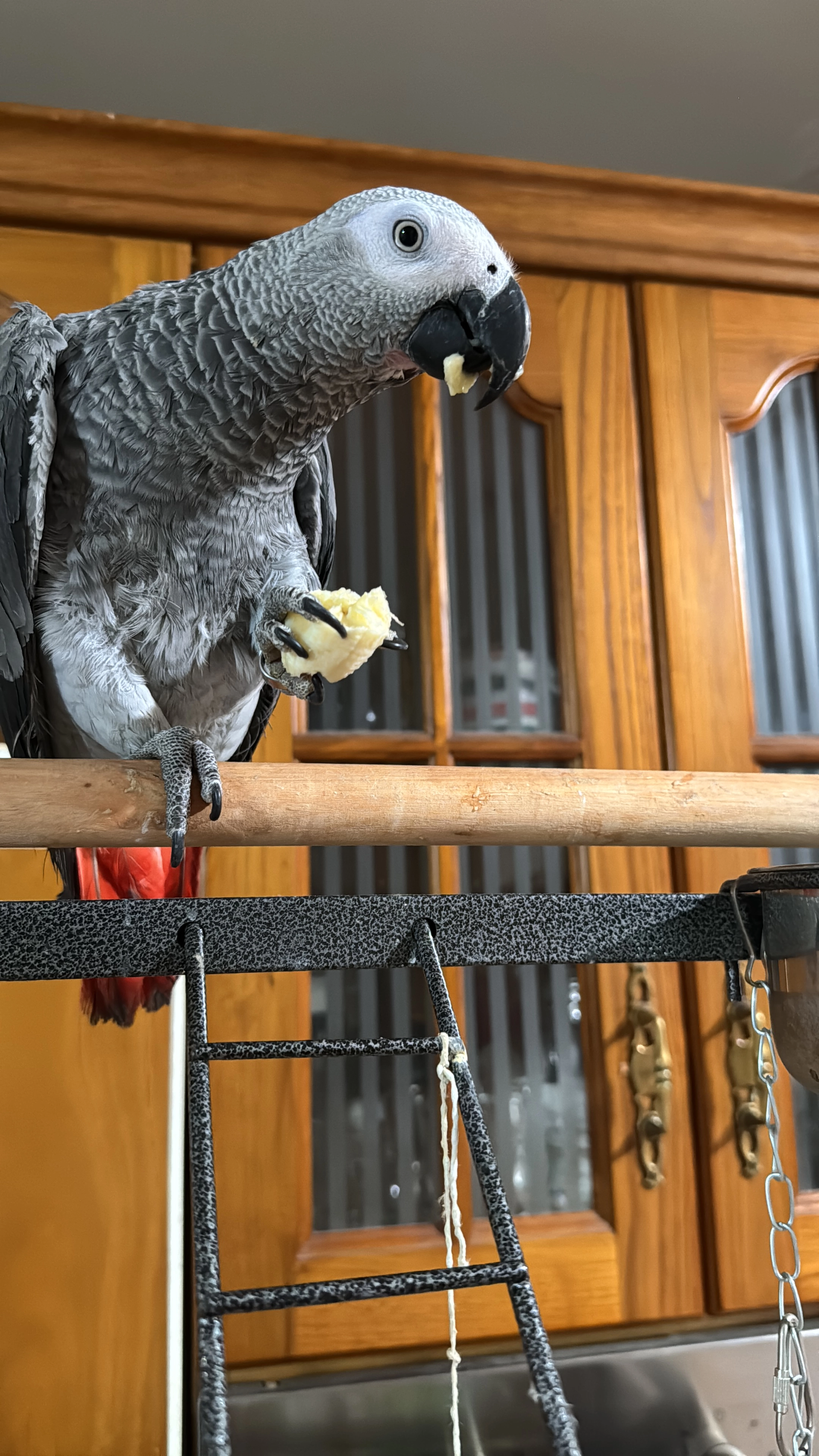 Matías - Calle De Las Huertas, Algeciras