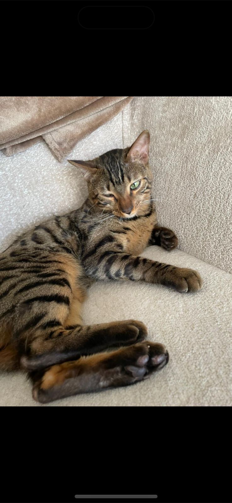 LOKI - 27, Bouskoura