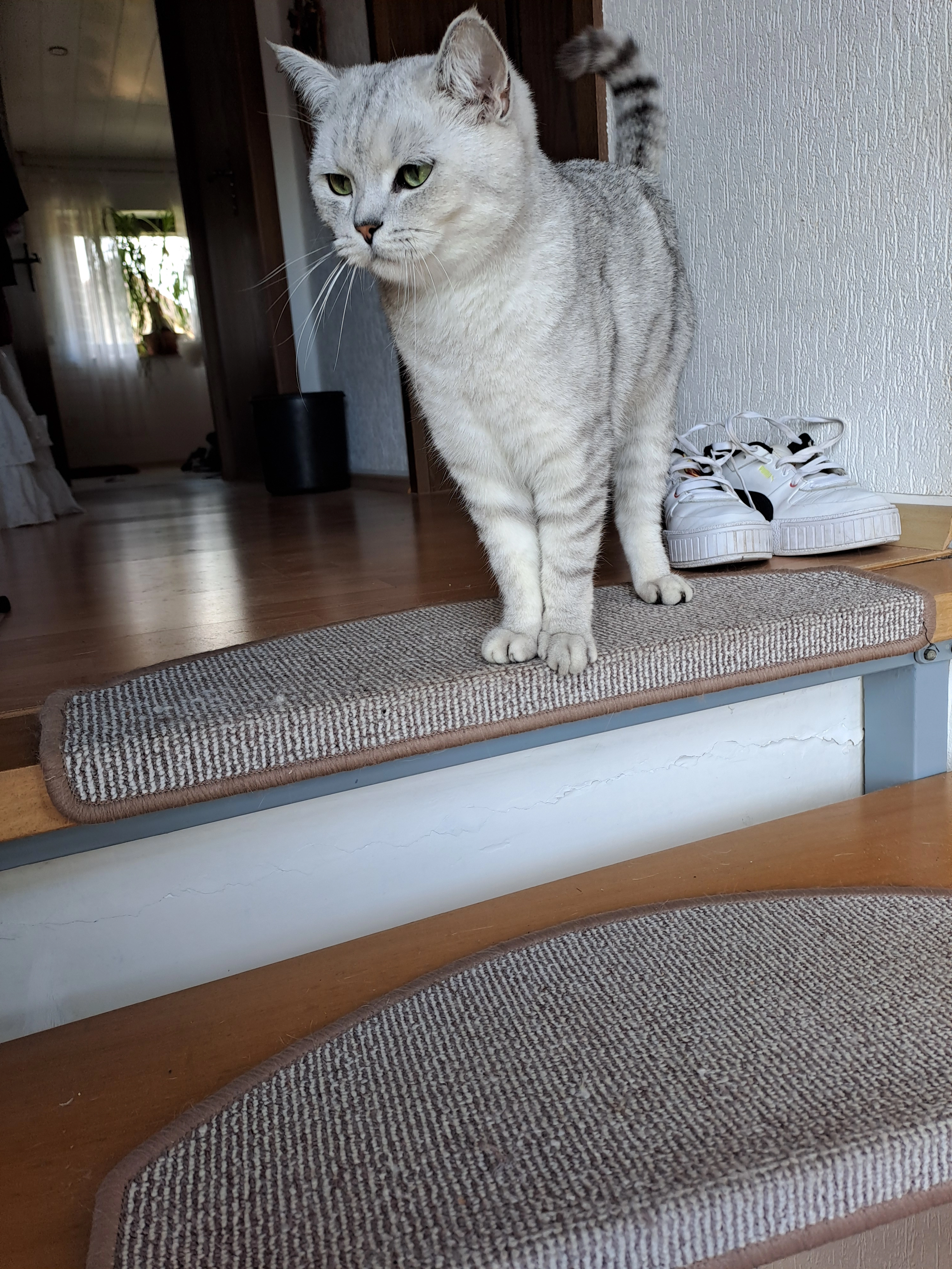 Marley, - Richardstraße, Hamm