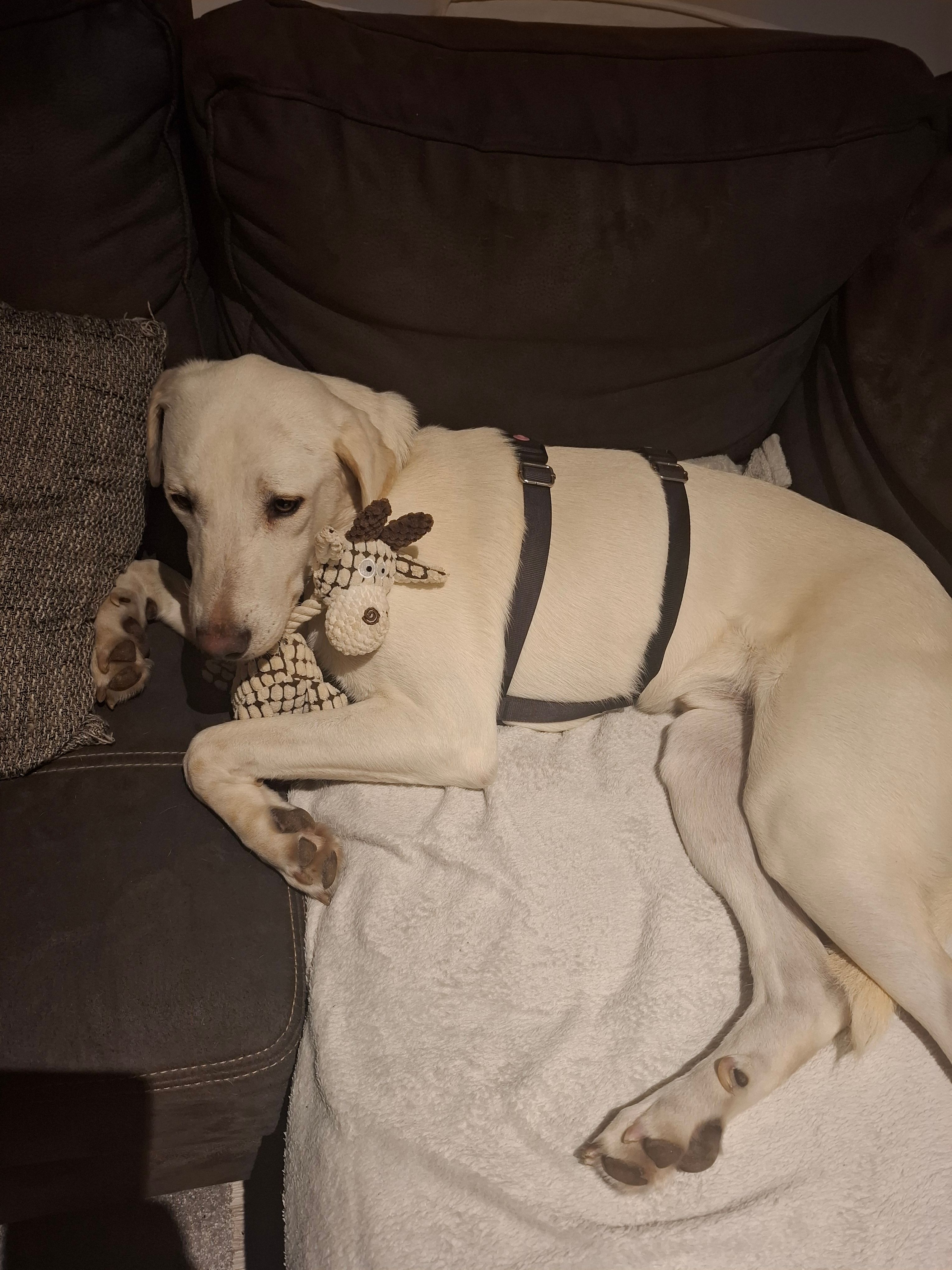 Max - Margret-Alps-Weg, Lachendorf