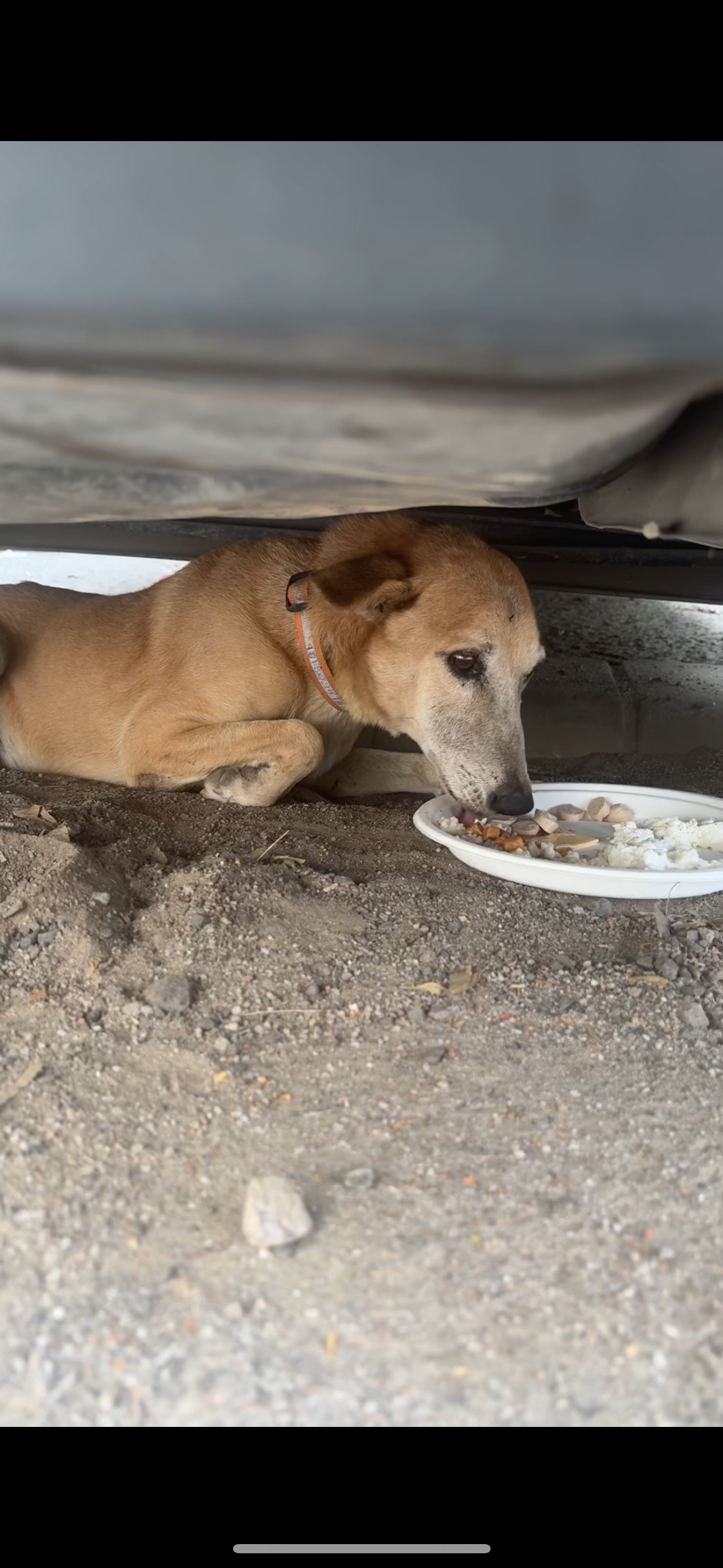 Gucci  - Golf Course Road, Gurgaon