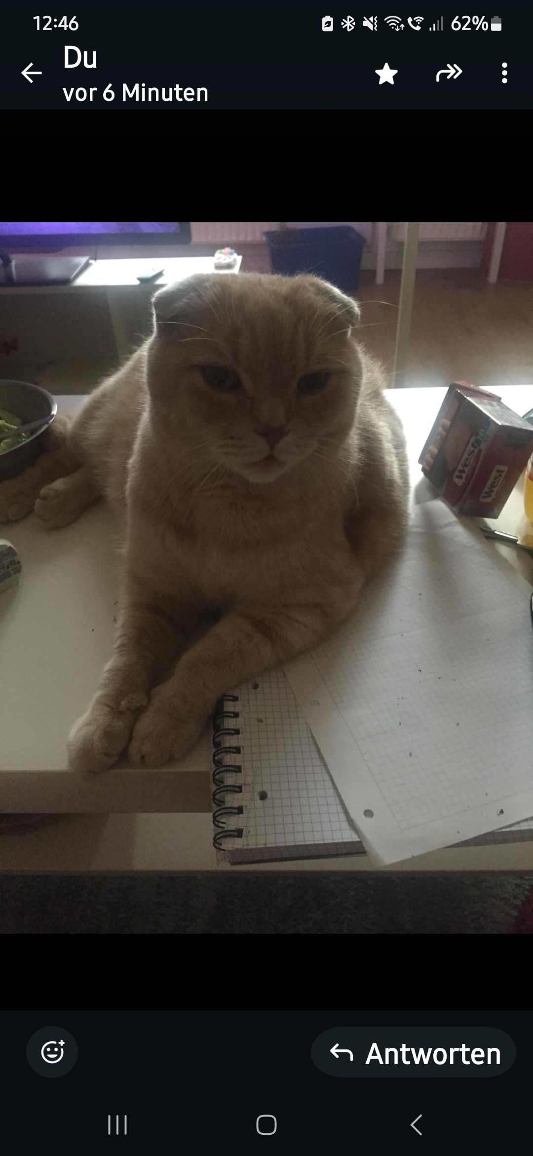 Schröder - Berliner Straße, Golßen