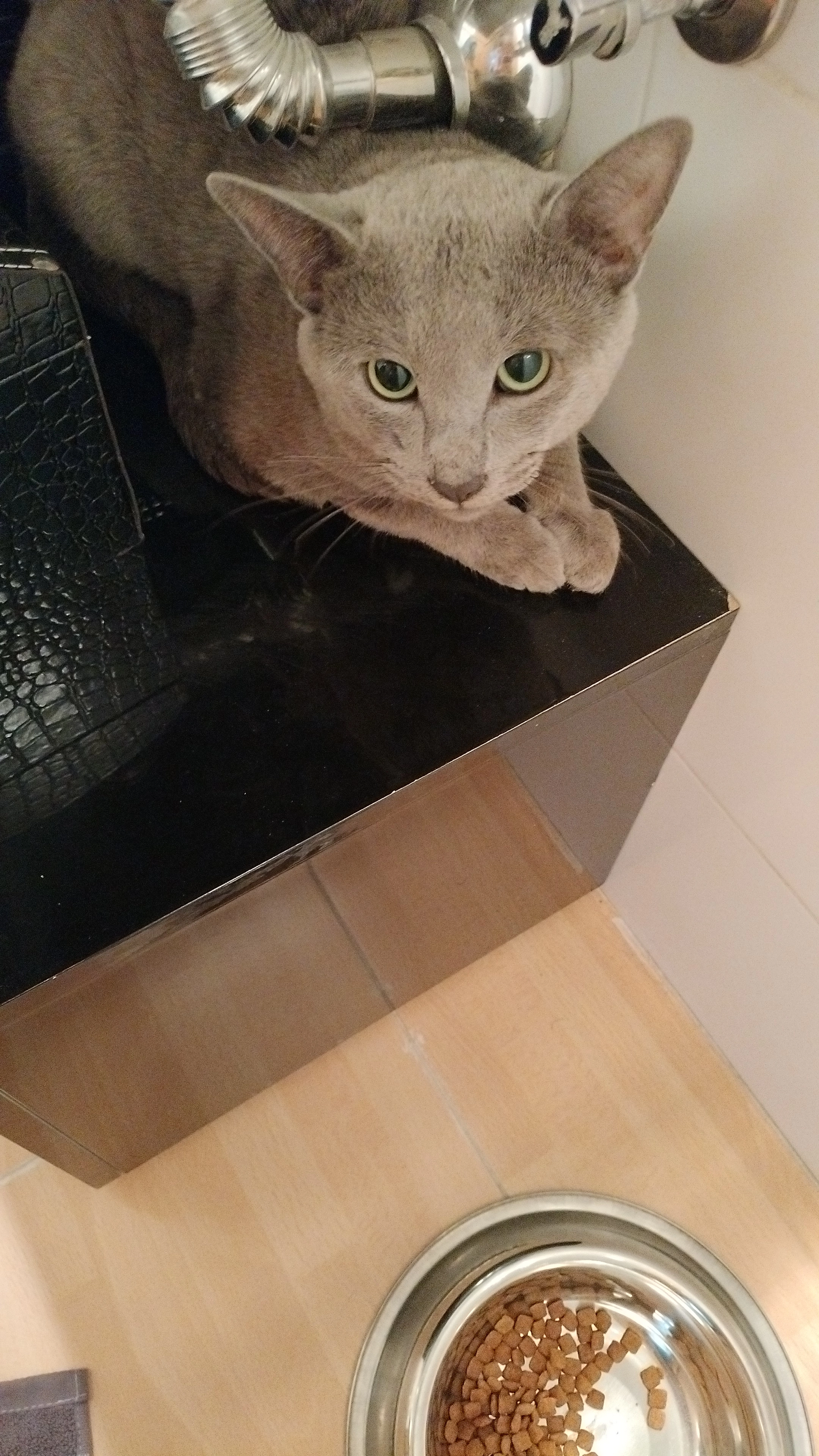 Bunny - Calle De Puentelarra, Madrid