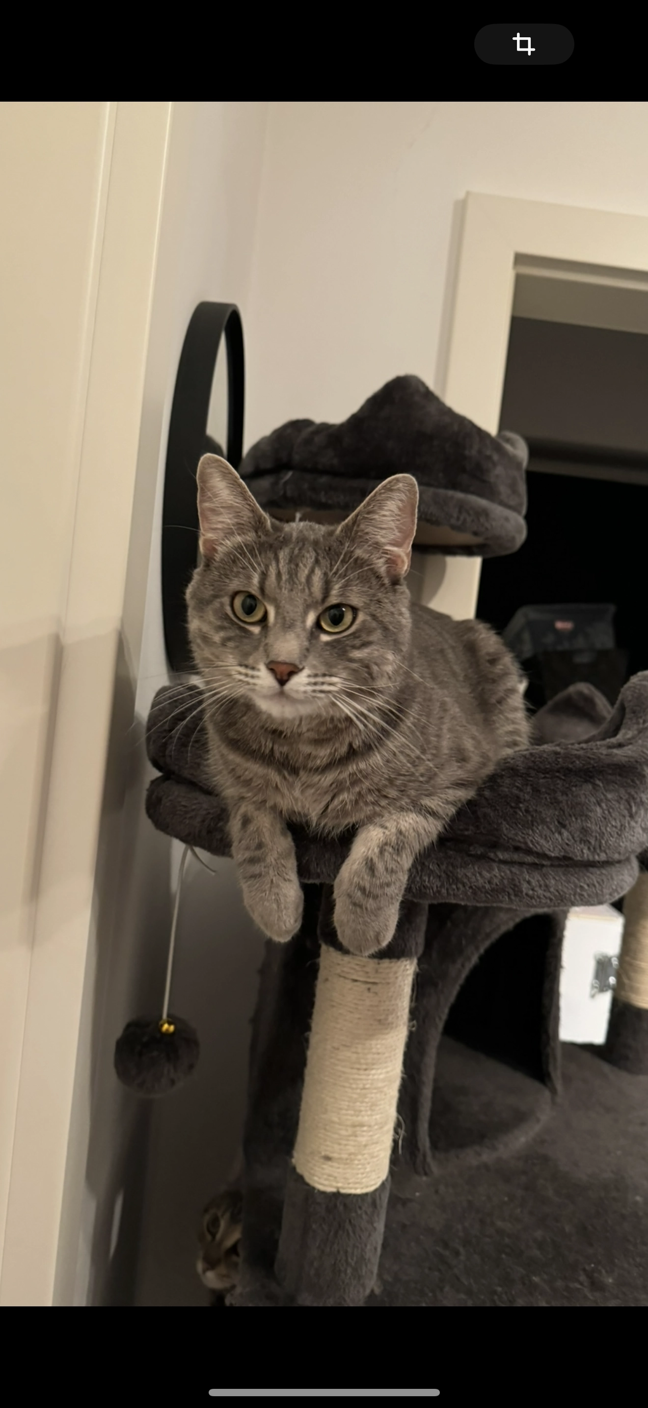 Bubi - Schrankenfeld-Straße, Eferding