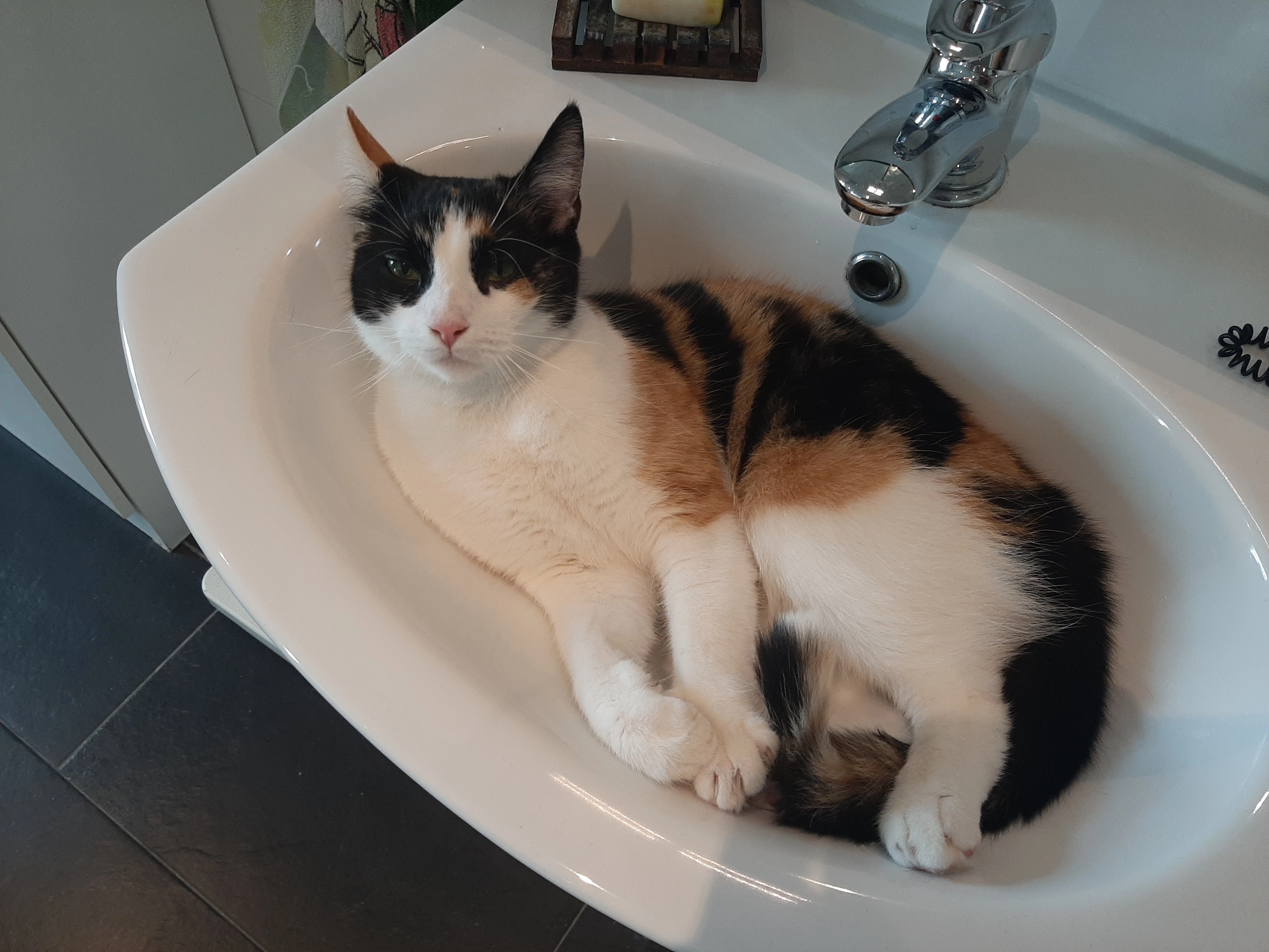 Luna - Hauptstraße 13, Pockau-Lengefeld