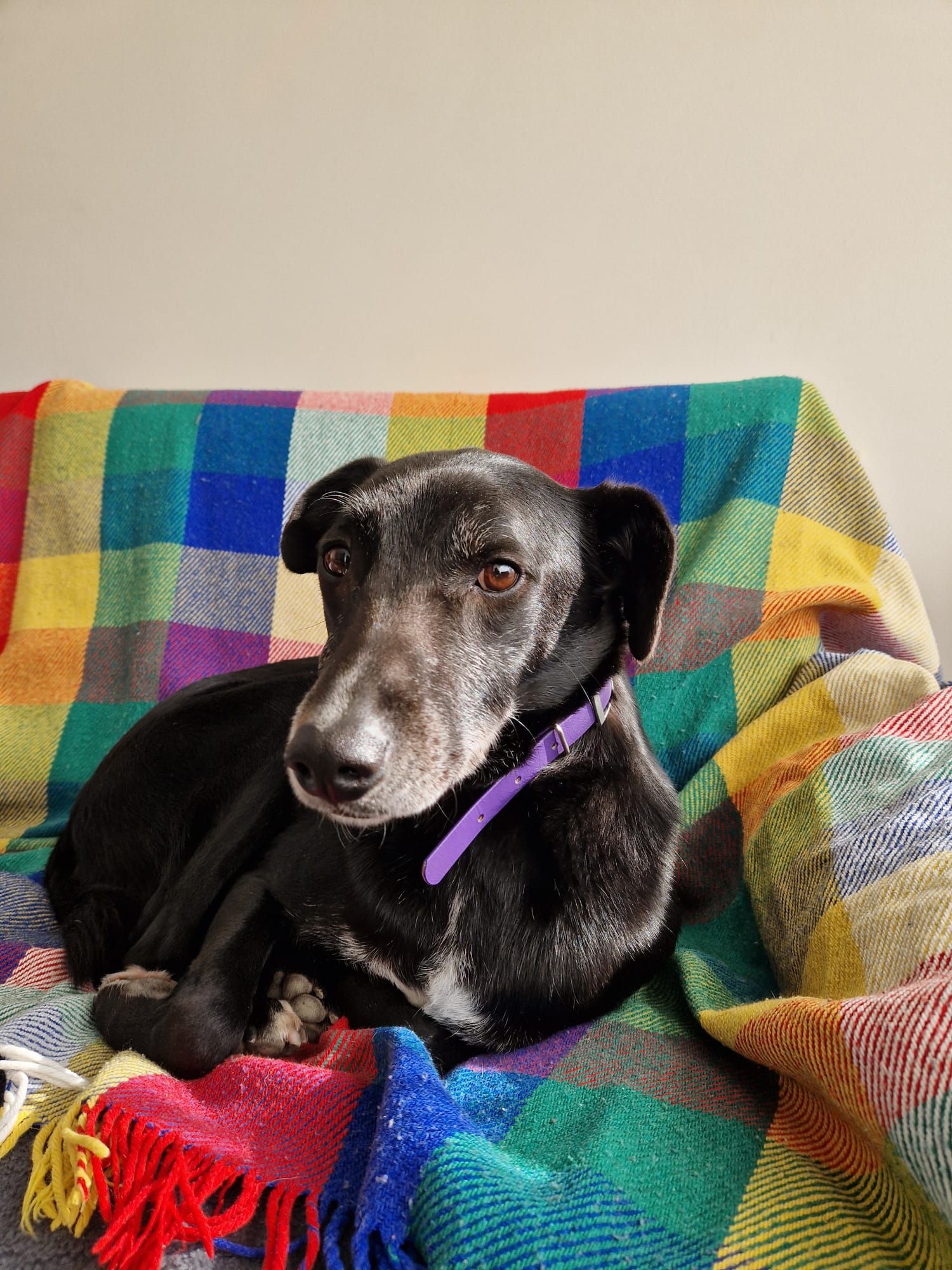 Candor - Vlokhovenseweg, Eindhoven