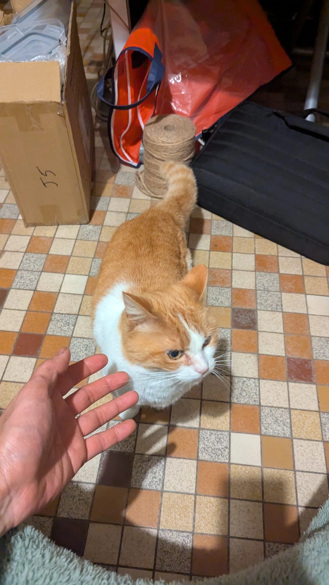 Ginette  - Toutvent, Le Langon