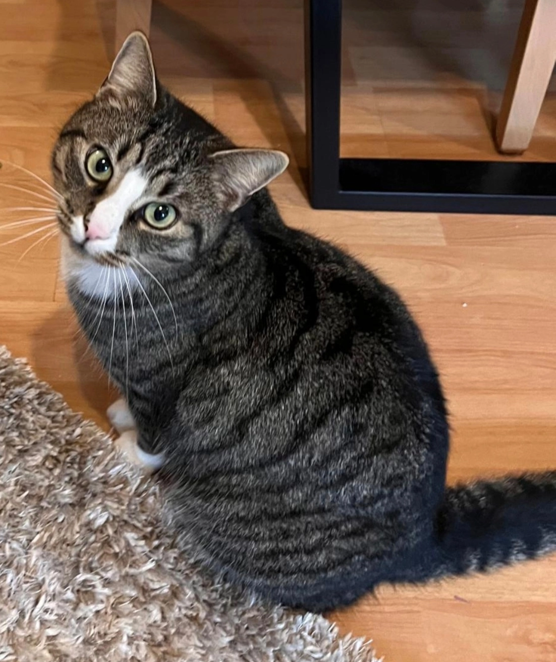 Chicco - Bannholzweg, Neckargemünd