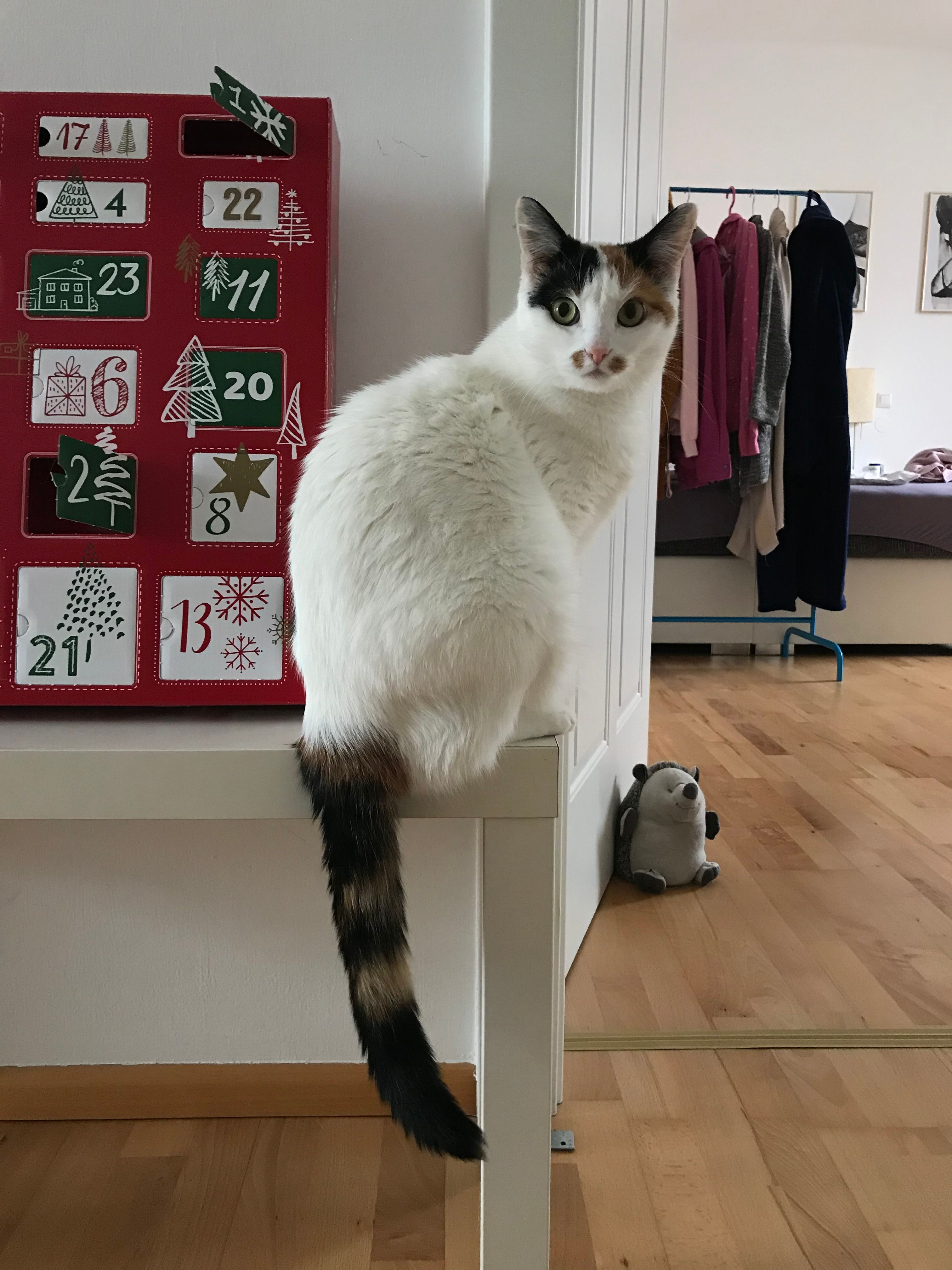 Flauschi - Guggenberg 14, Ried im Traunkreis