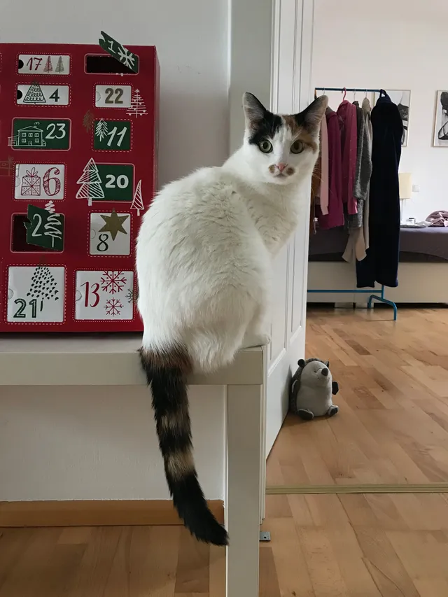 Flauschi - Guggenberg 14, Ried im Traunkreis