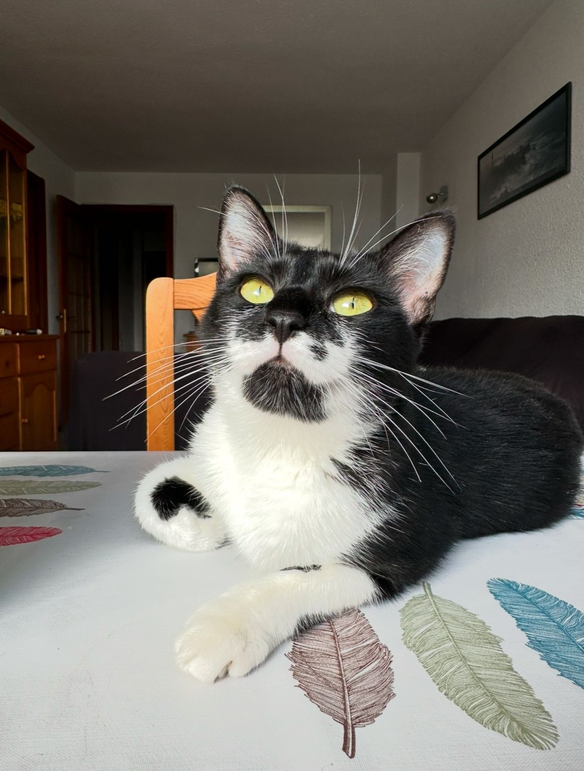 Zori - Avinguda De La Costa Blanca / Avenida Costa Blanca, Alicante