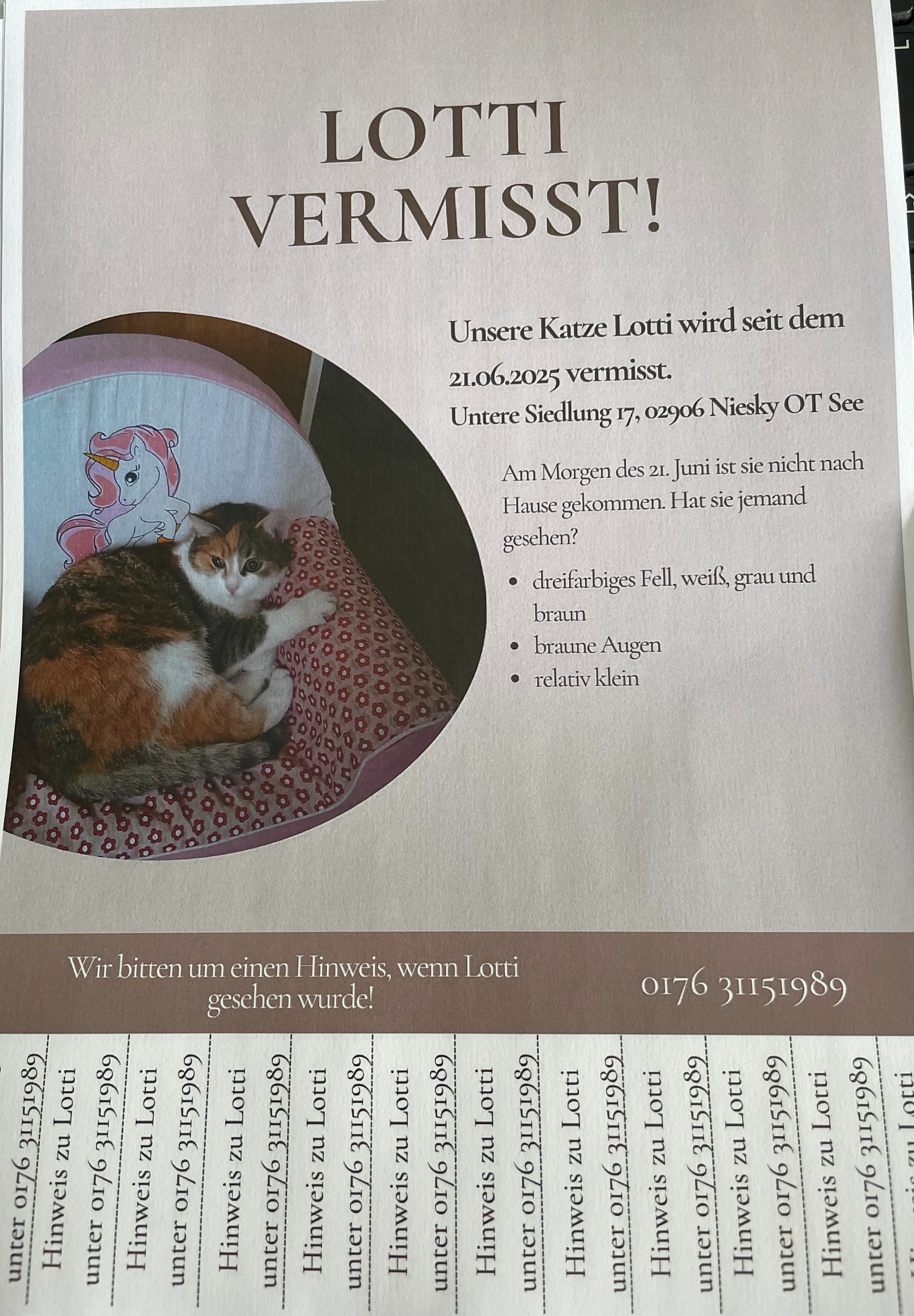 Lotti - Untere Siedlung, Niesky