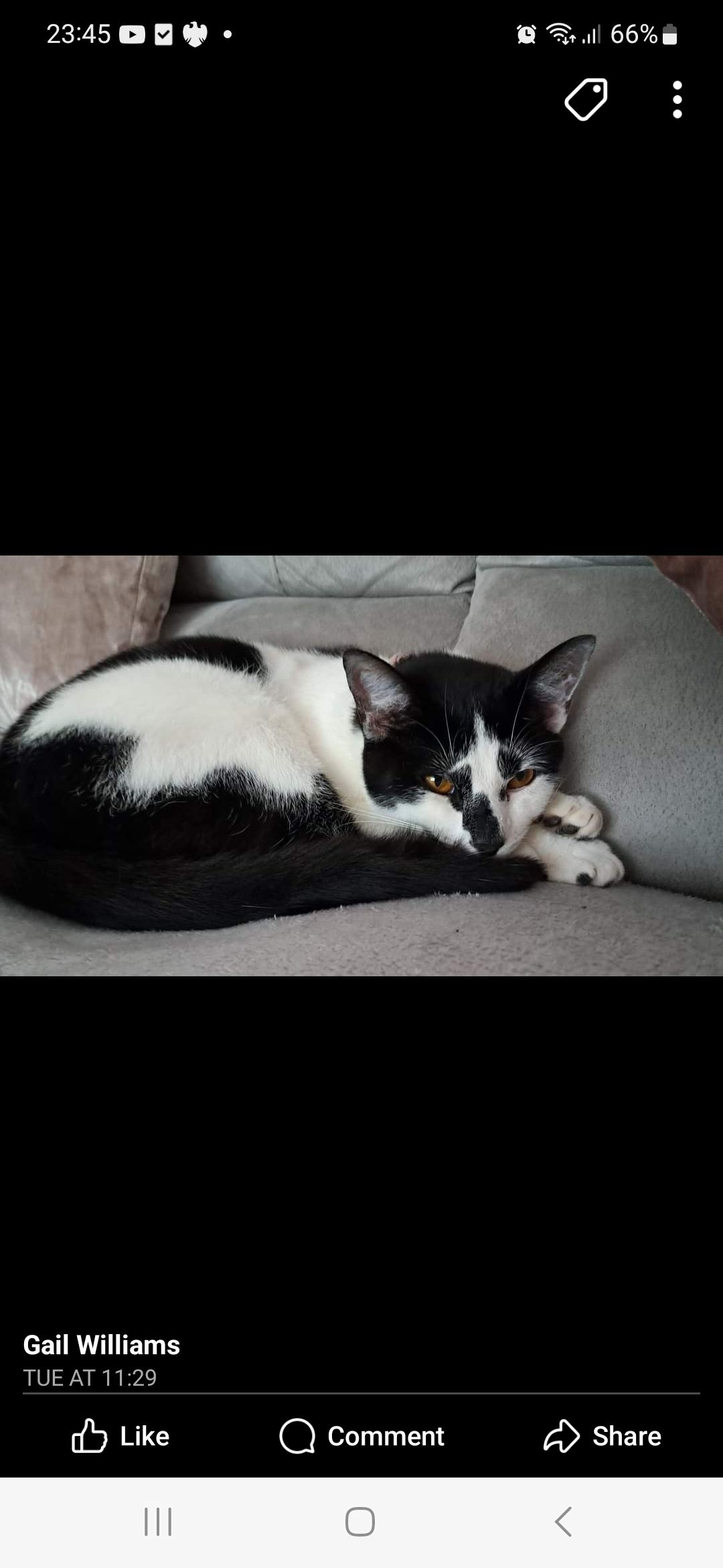 Luna - Collins Street, Crewe