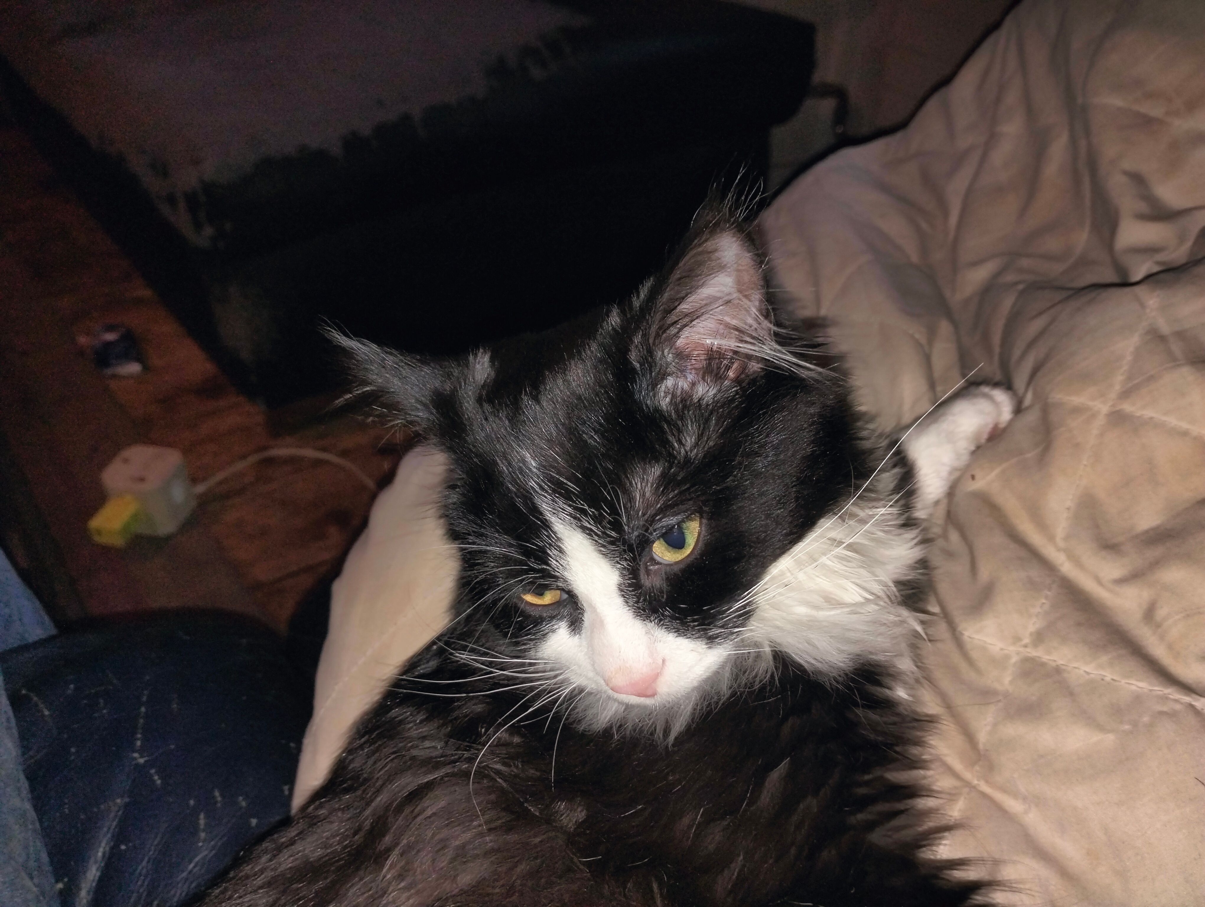 Kami - Untergasse, Sargans