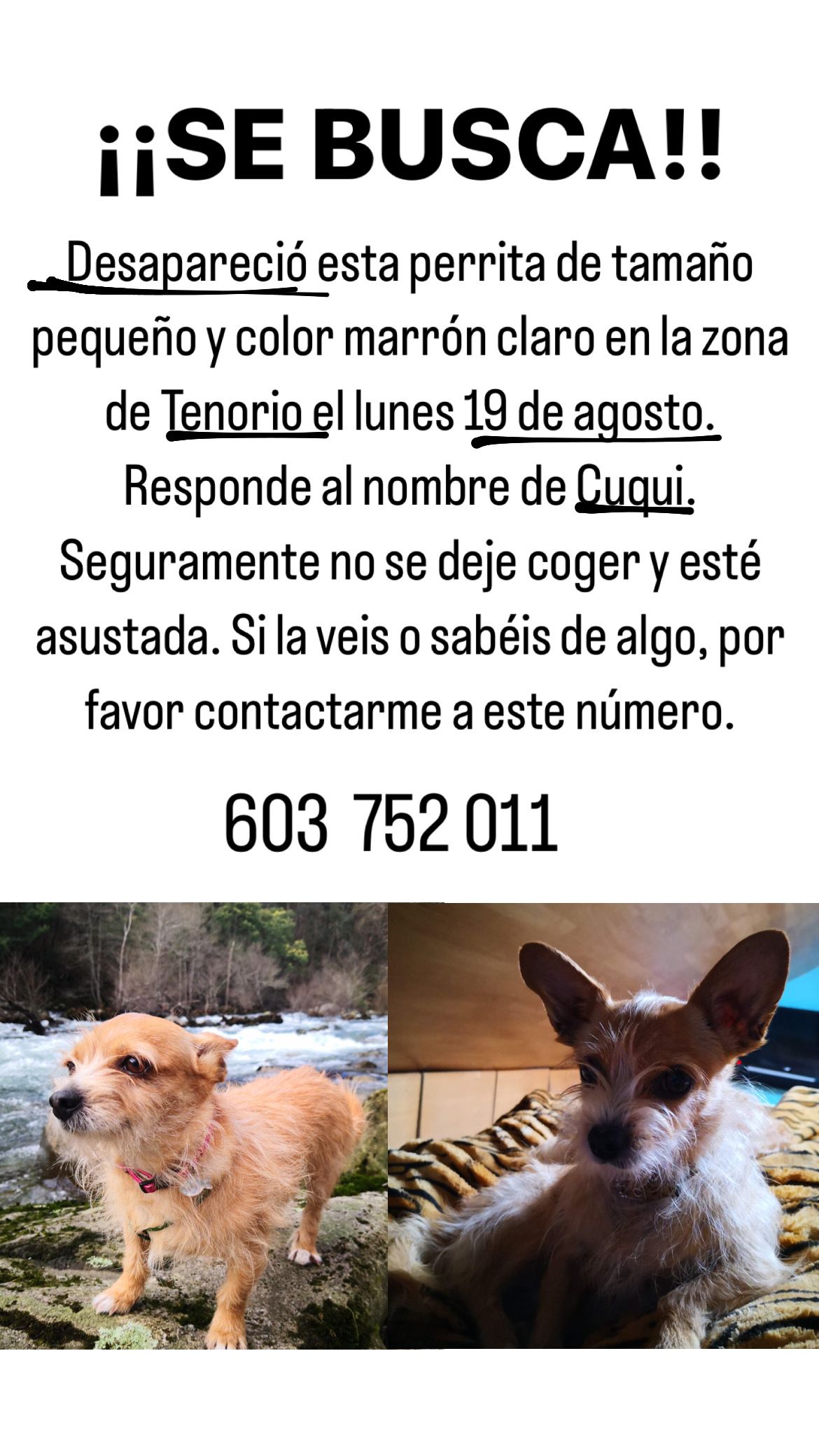 Cuqui - Peniña - Cruce Lagoa, Cerdedo-Cotobade