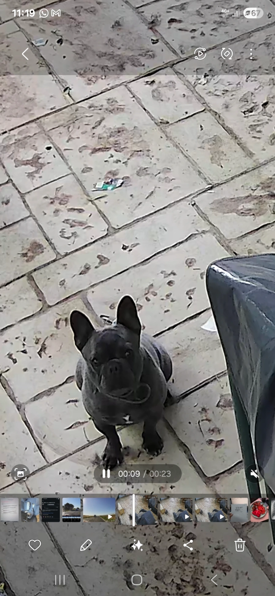 BLUE - DJ226A, Cogealac