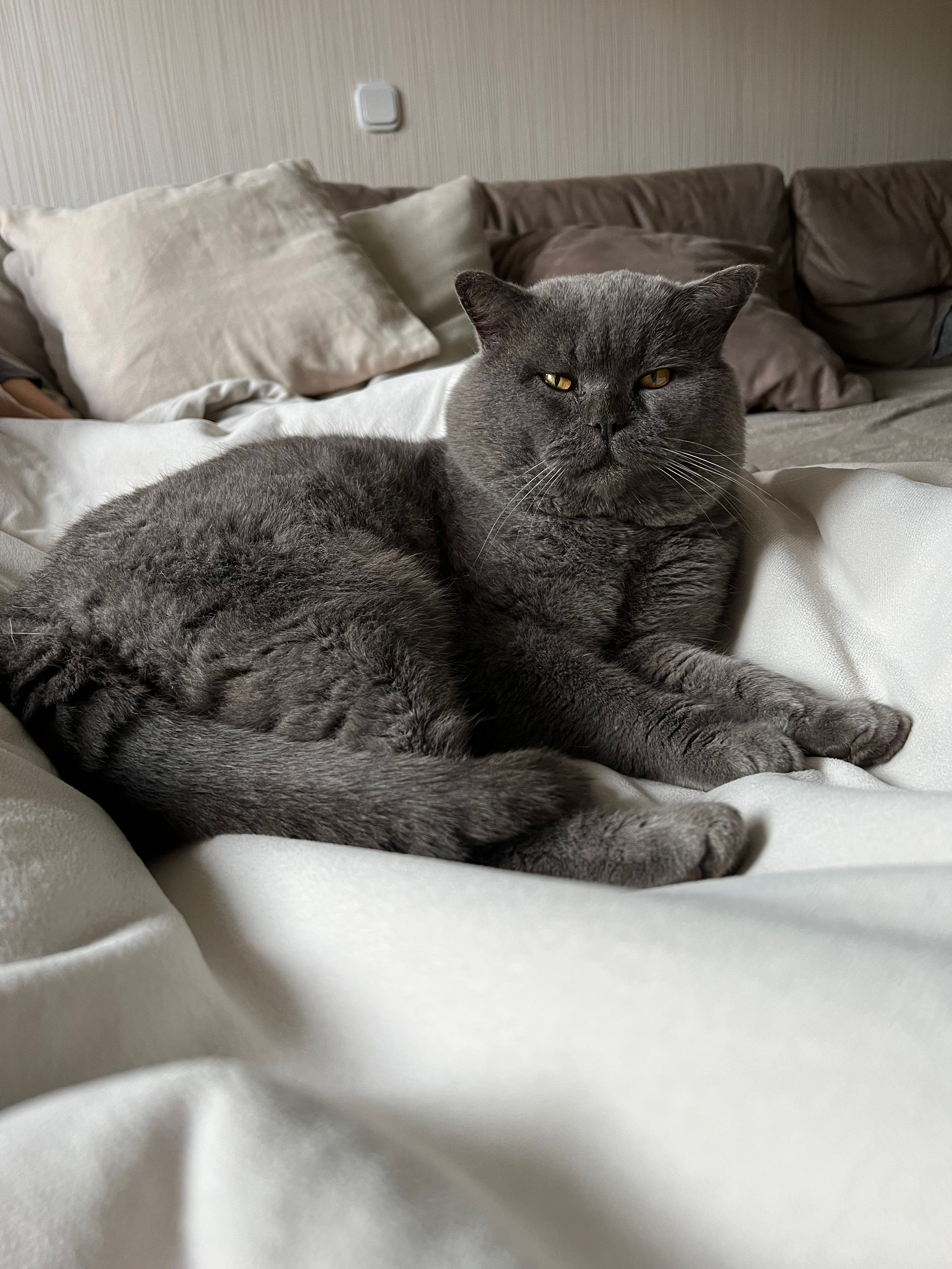 Phil - Langenaubacher Straße, Dillenburg