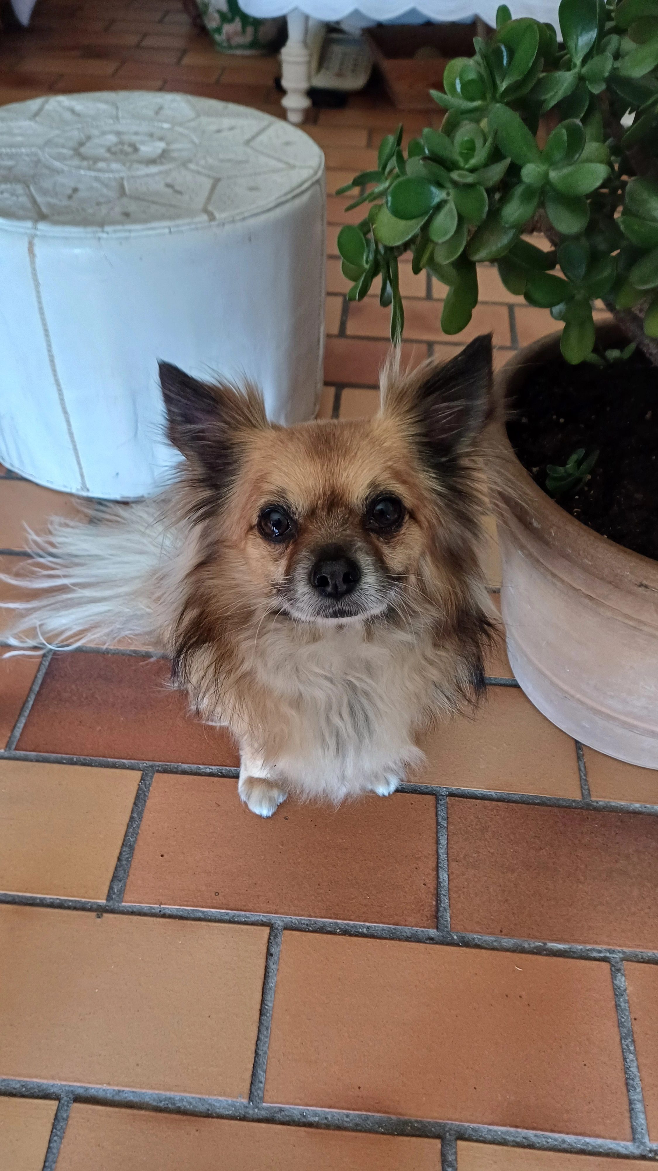 Jypisi  - Rue Des Droits De L'homme, Le Pont-de-Claix