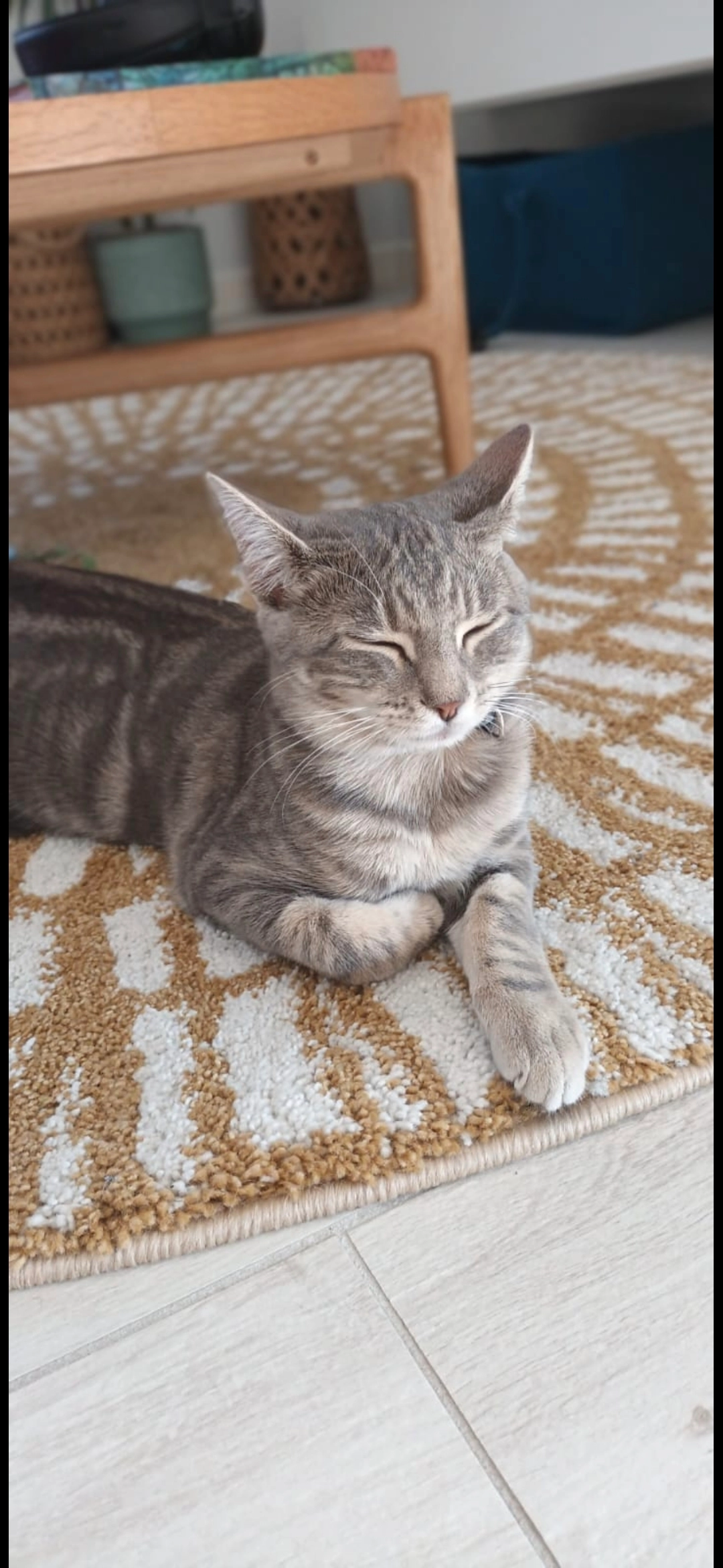 TSUKI - 477B Route du Praz, Fillière