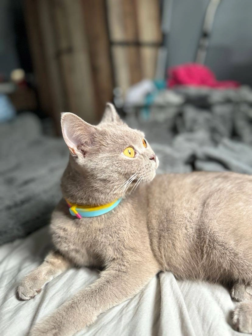 Skye  - Cwmdu Street, Maesteg