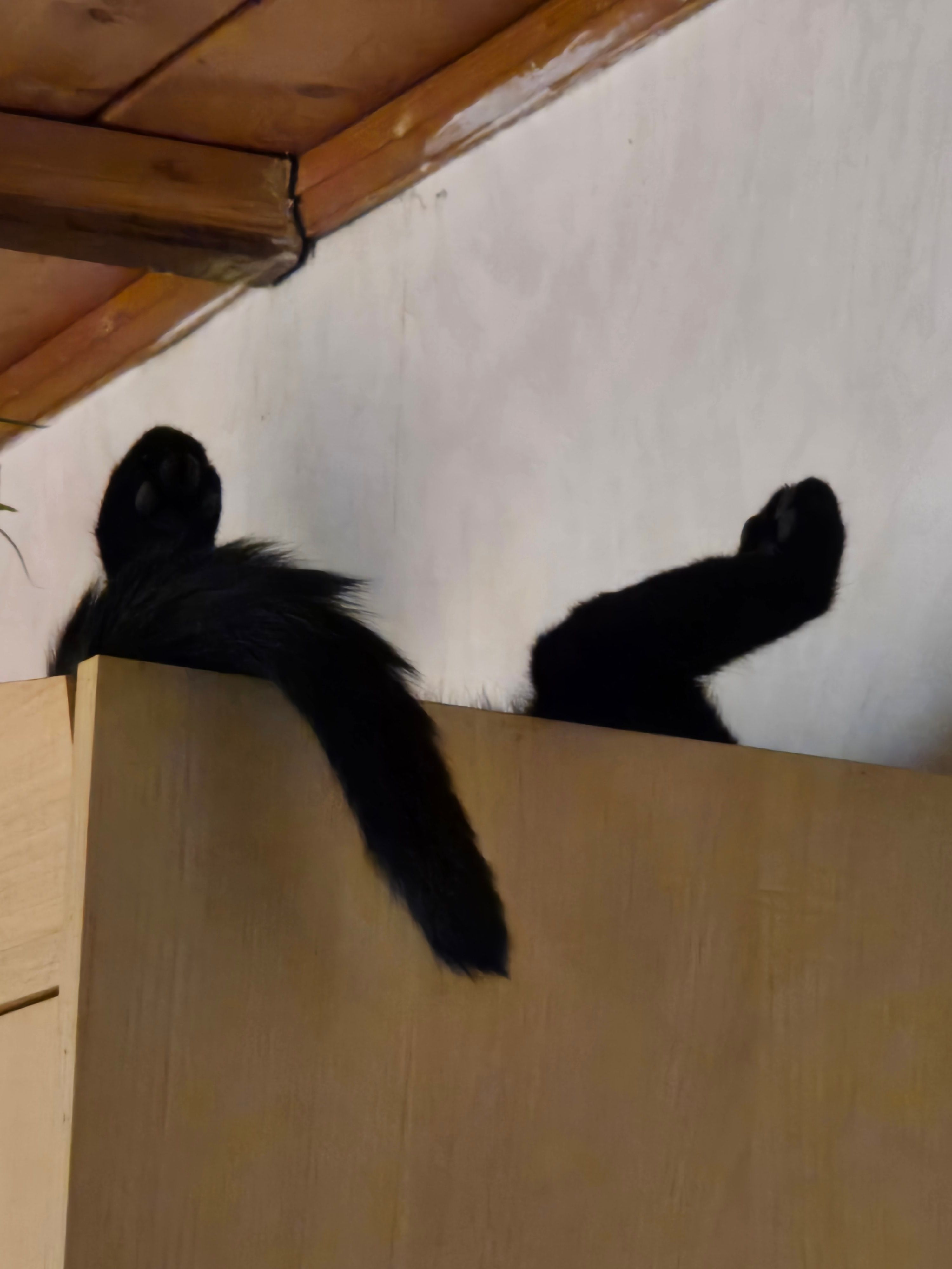 Karlchen - Sponholzer Straße, Neubrandenburg