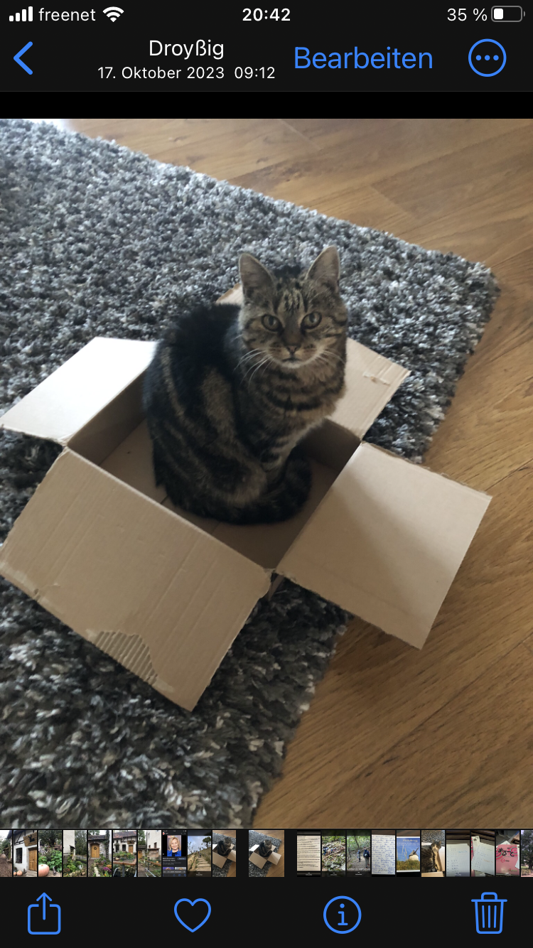 Anna - Großosidaer Straße, Gutenborn