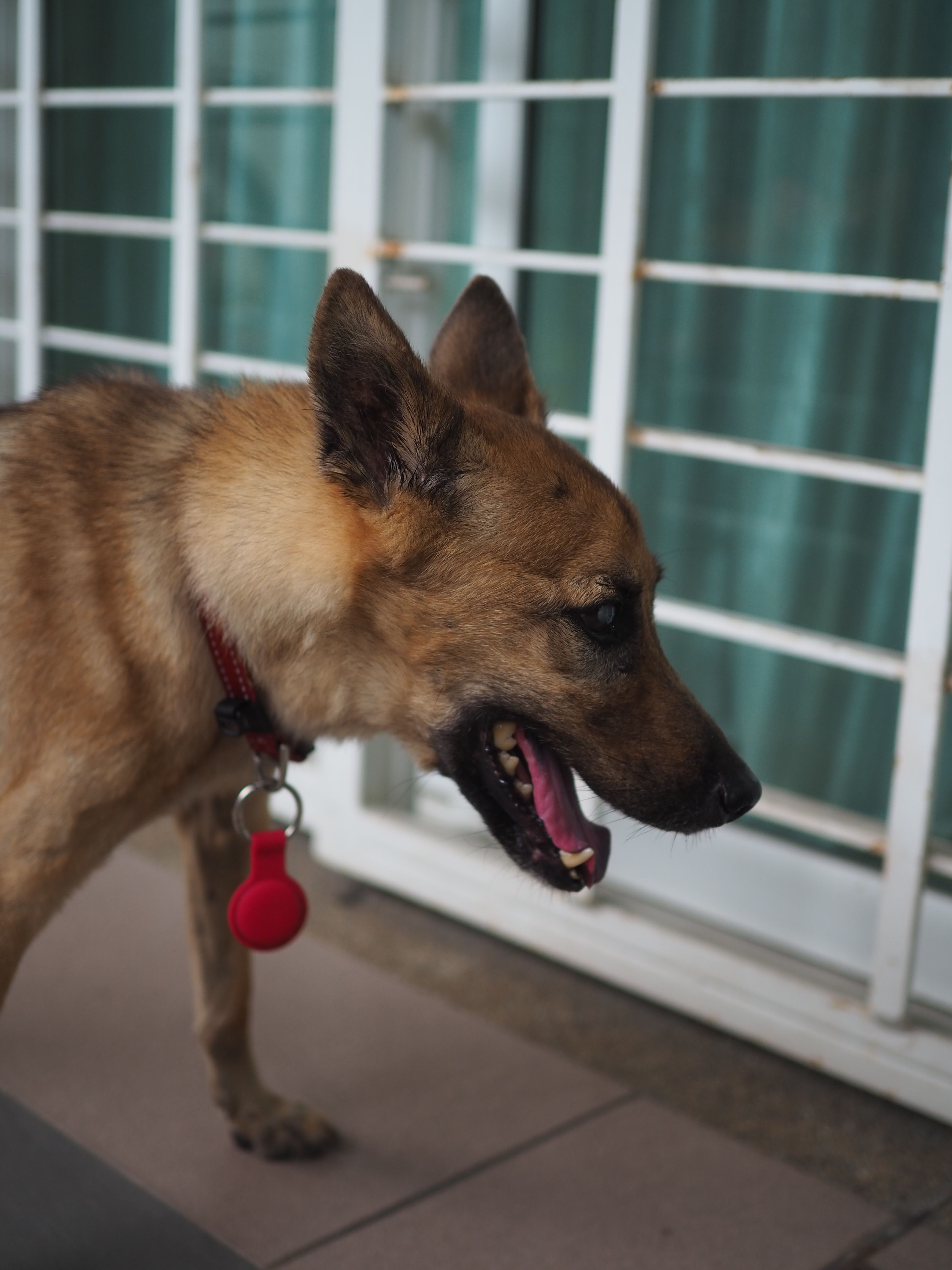 Lucky - 47500, Subang Jaya