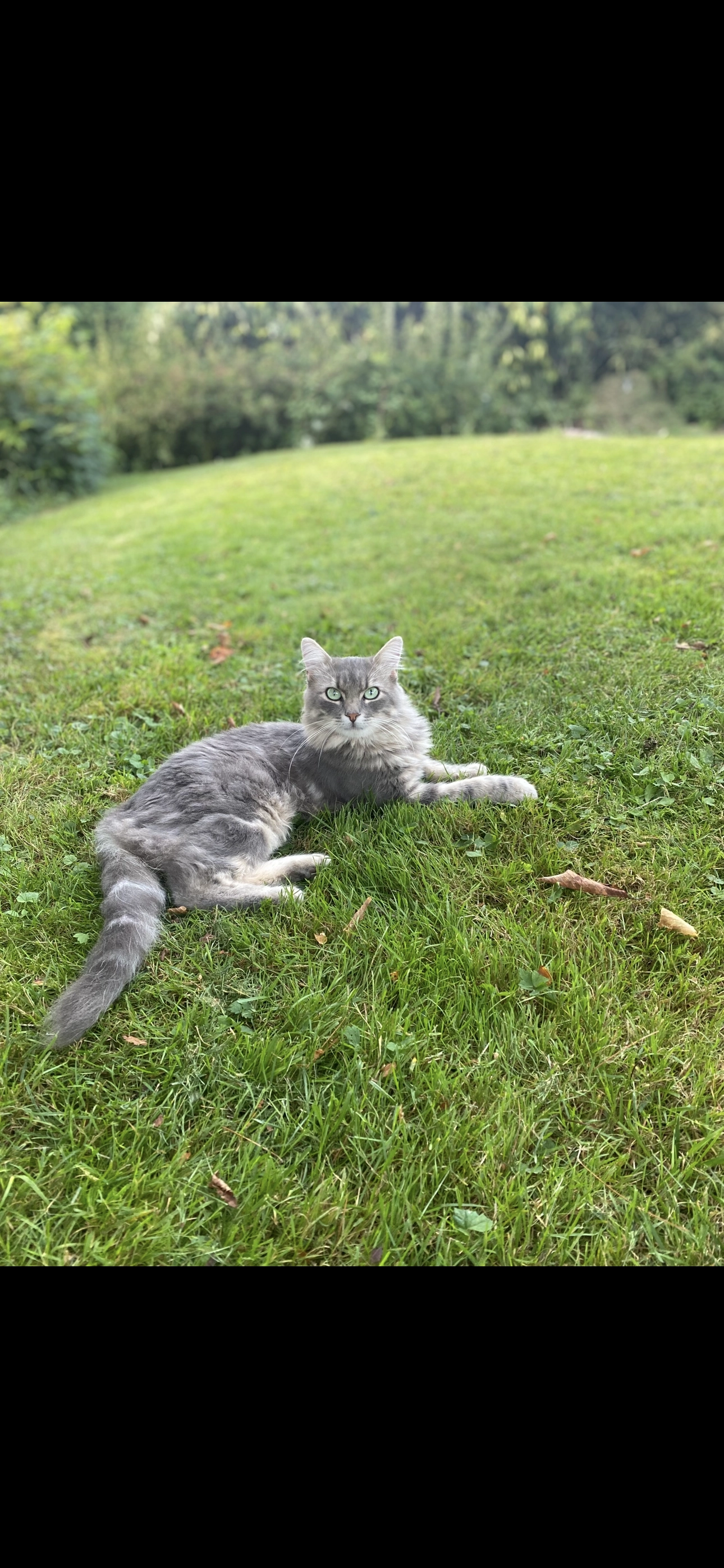 Floky - Rue des Vergers, Emlingen