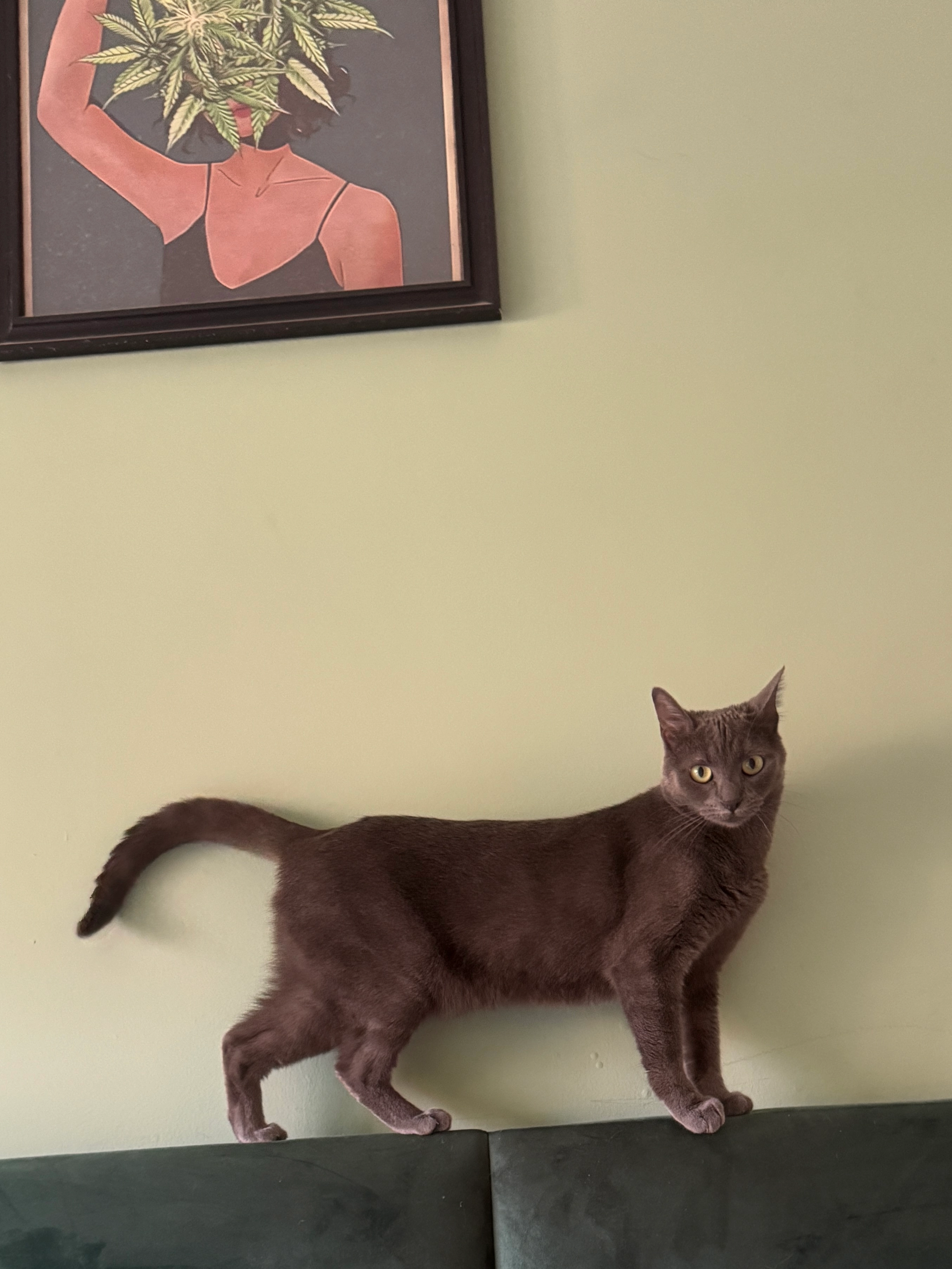 Winter - Praceta Artur Pereira, Costa da Caparica