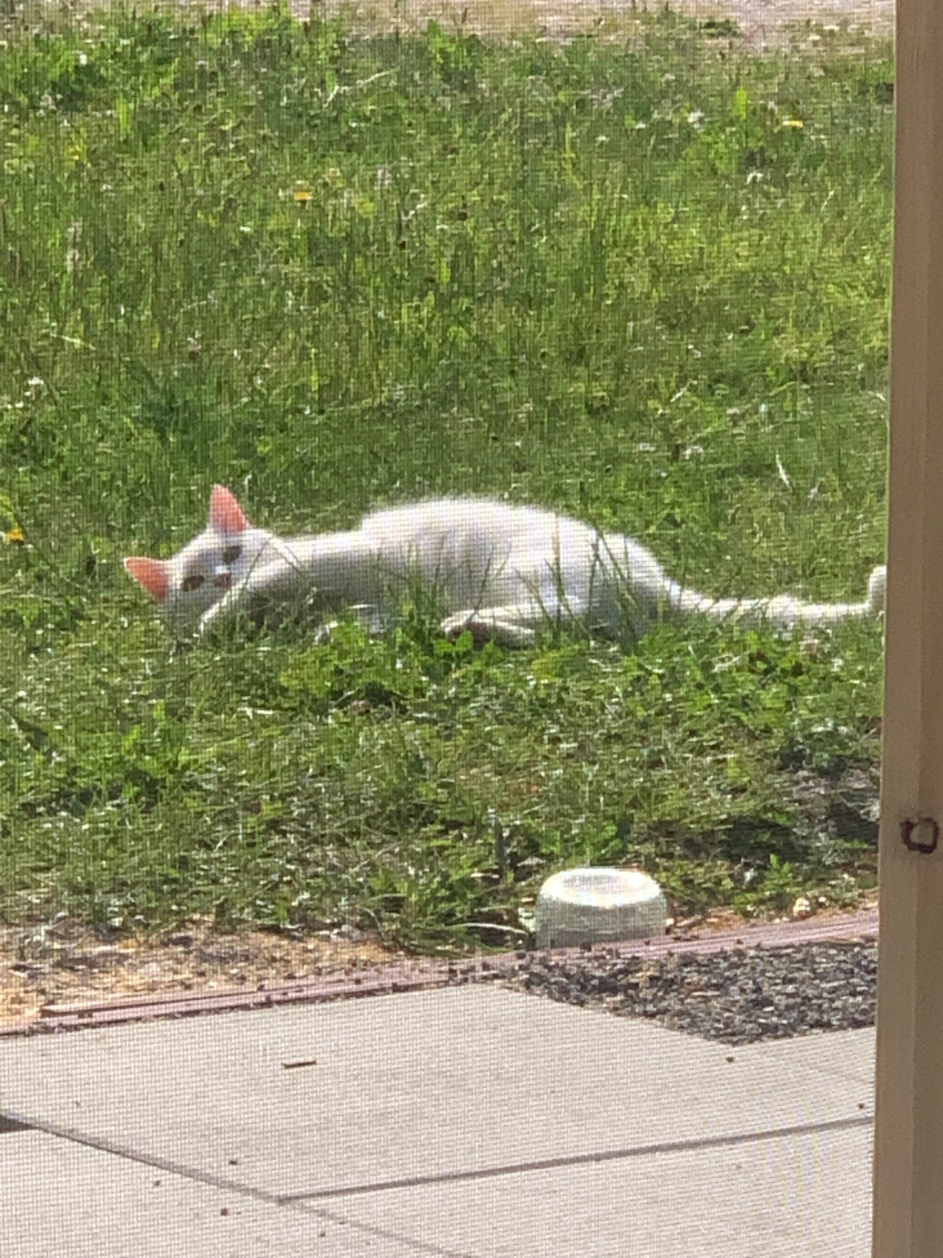 Jasmin - Upflamör, Zwiefalten