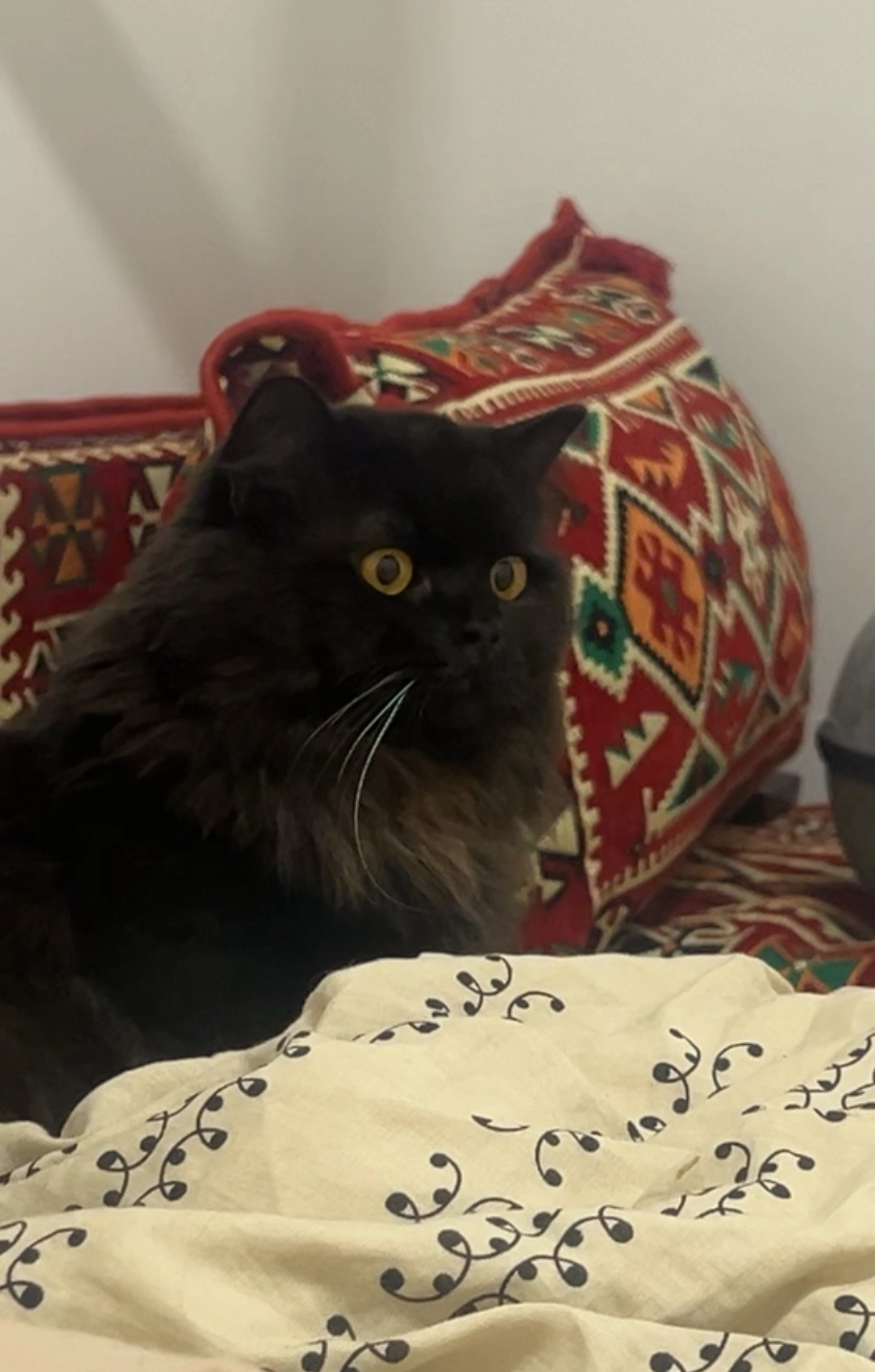 Simsek - 16 Route de la Fromagerie, ValserhĂŽne