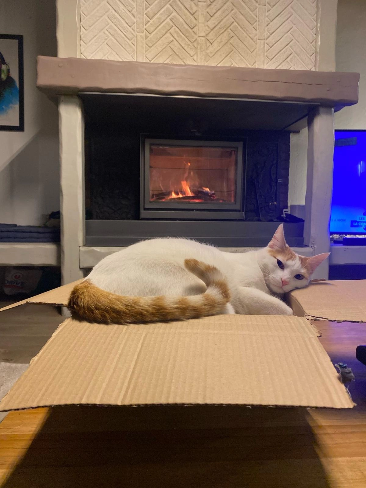 Georges - Rue De Mainville, Draveil