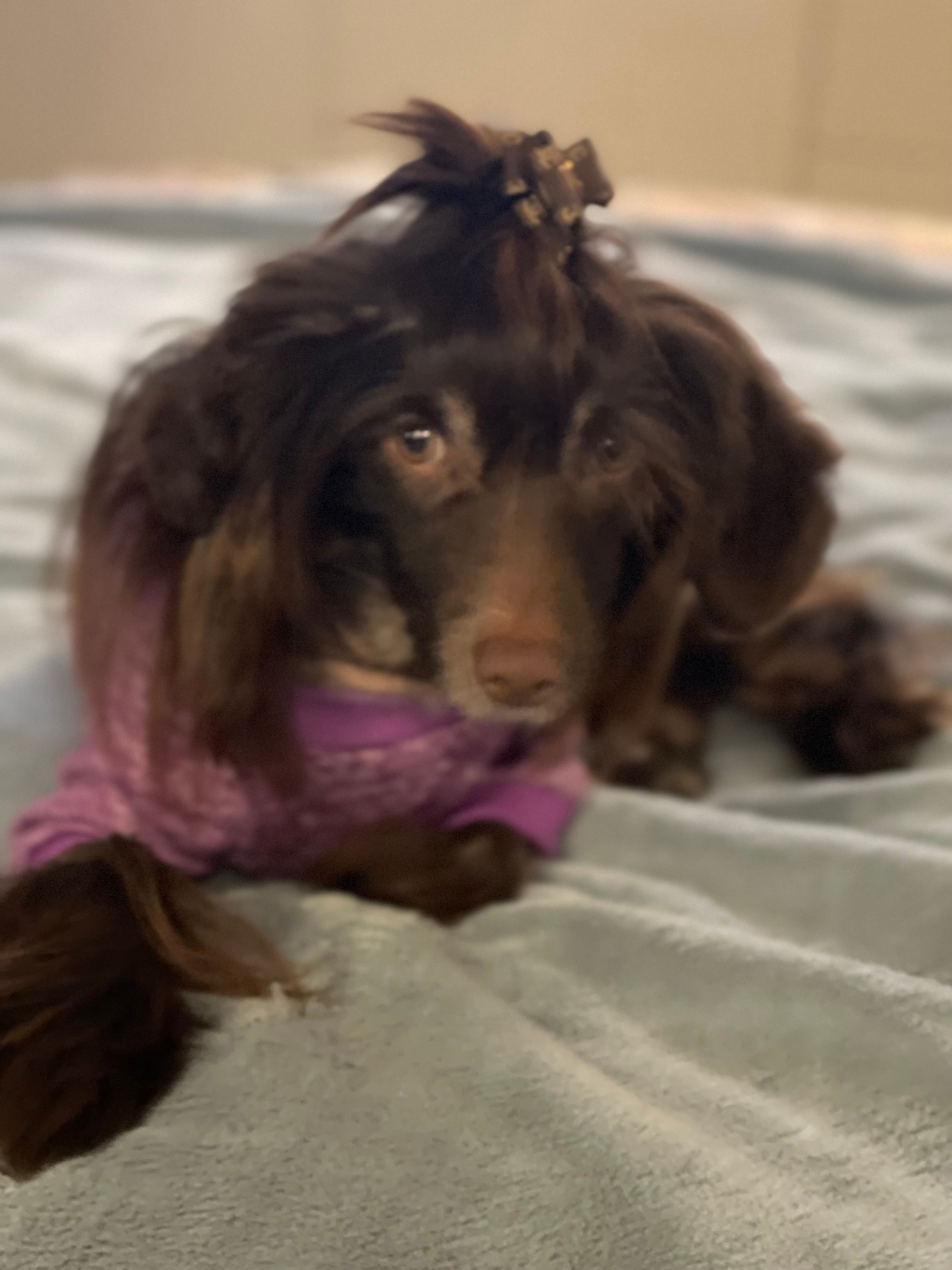 Pascal  - Naaldweg, Gelderland