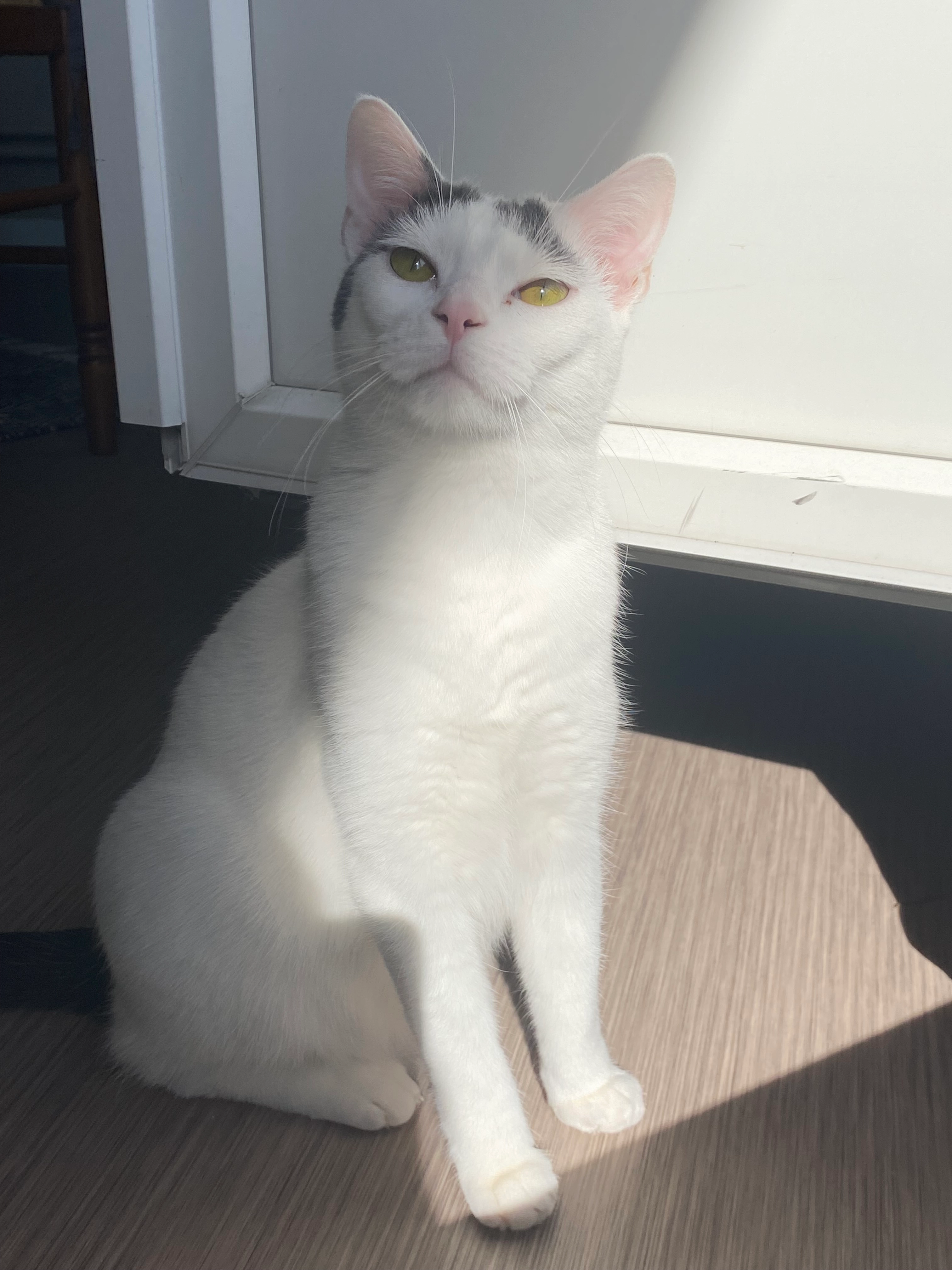 Bulma - 5 Rue Thiers, Sedan