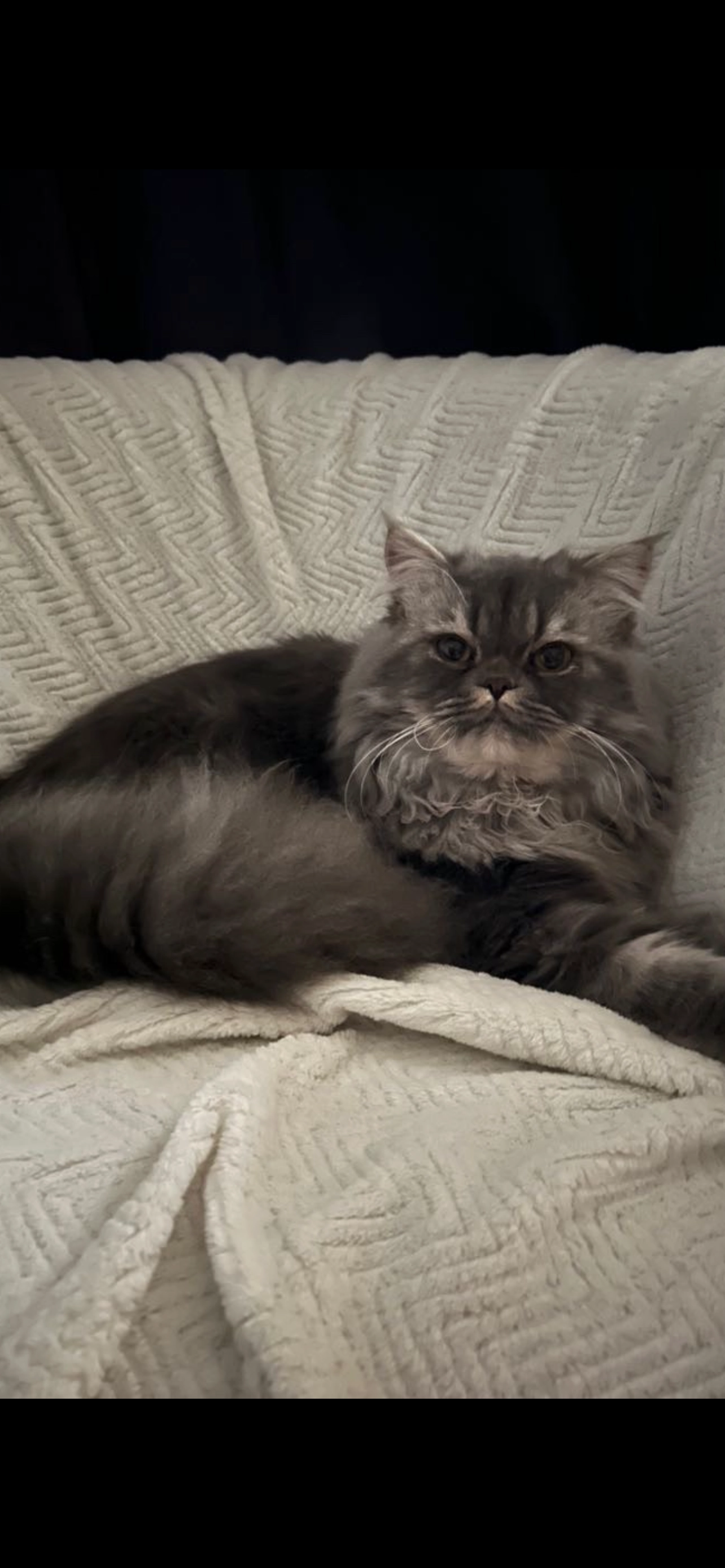 Pablo - Rue Jean-Simon Berthélémy, Besançon