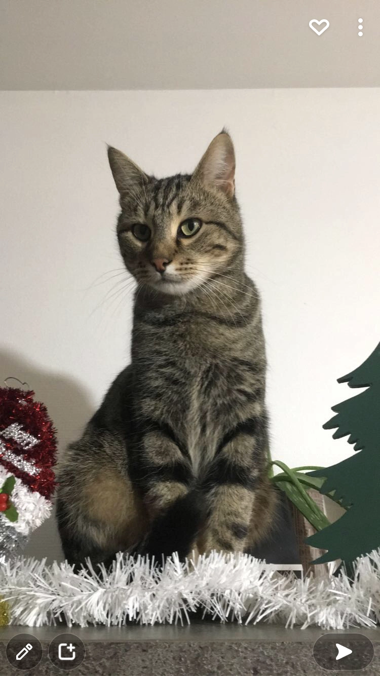 Flufy - 1 Impasse du Crépon, Issans