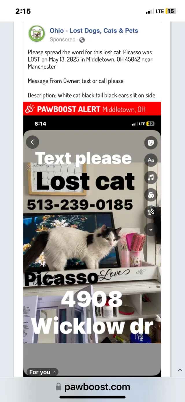 Picasso  - Ohio Ave, Middletown