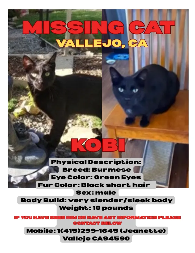 Kobi - 109 Hilborn St, Vallejo