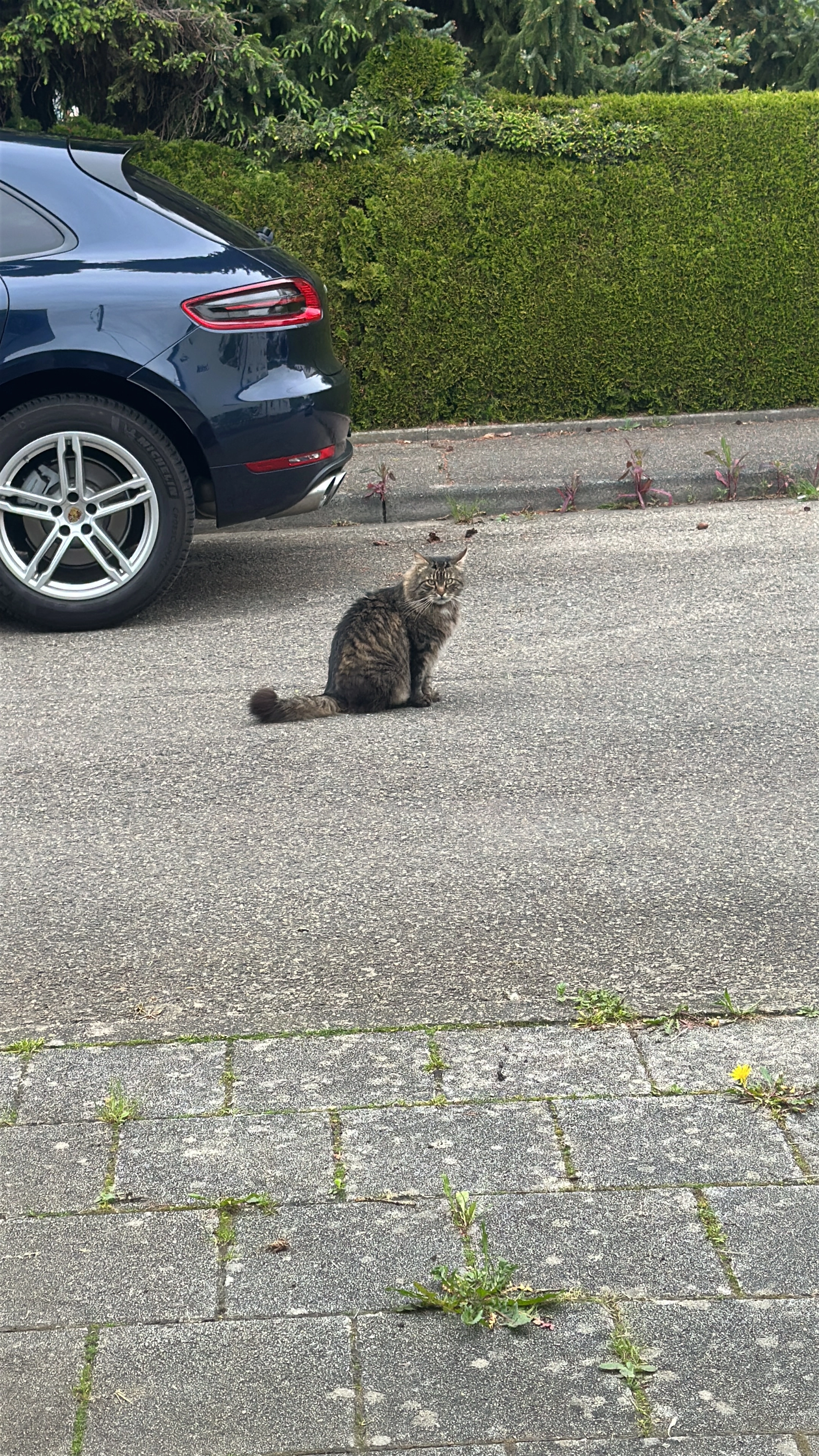 Bali  - Szigetszentmiklós, MO 19-es km, 2310 Ungarn, Szigetszentmiklós