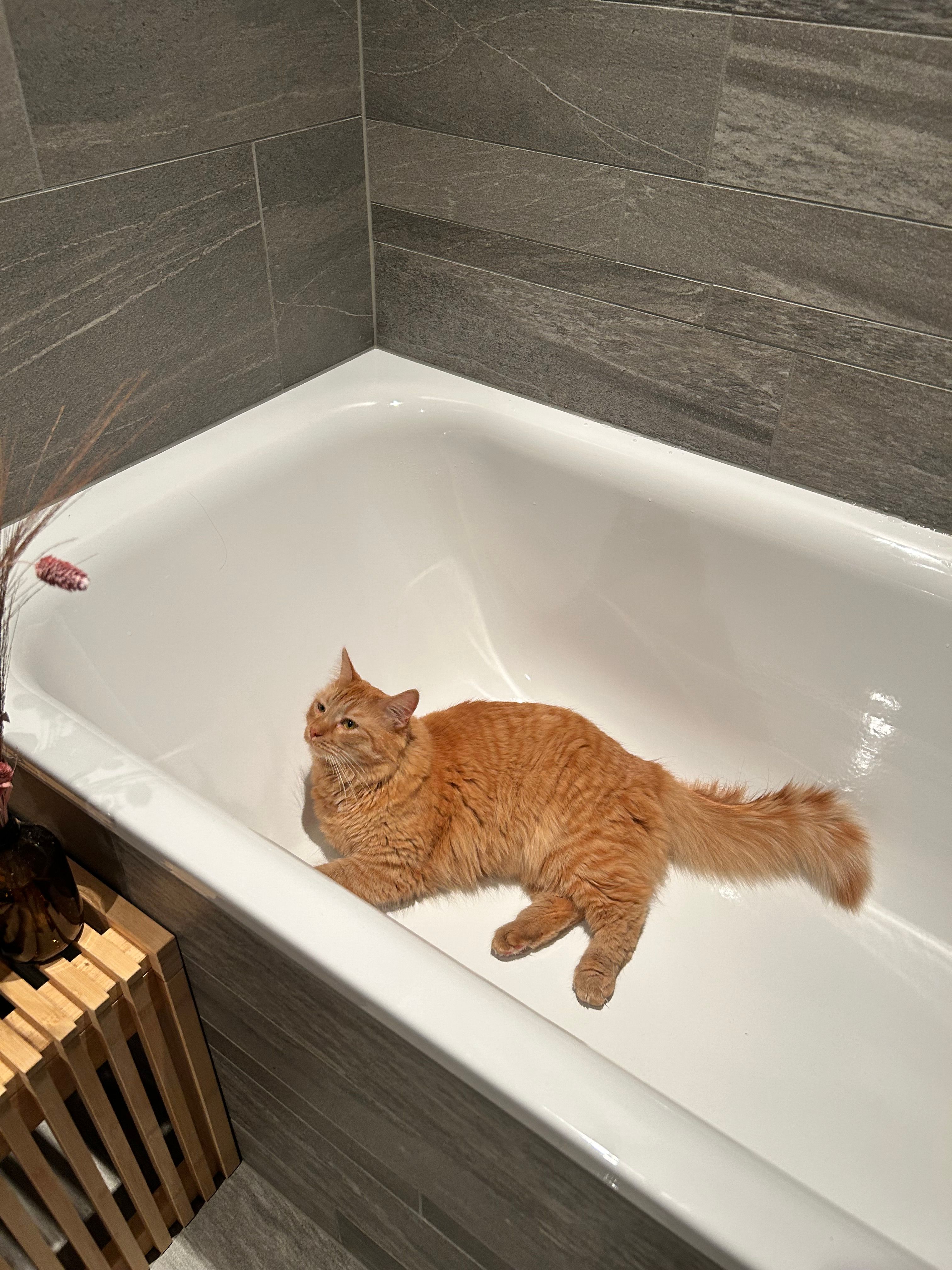 Cupko - Bahnhofstrasse 3, Schübelbach