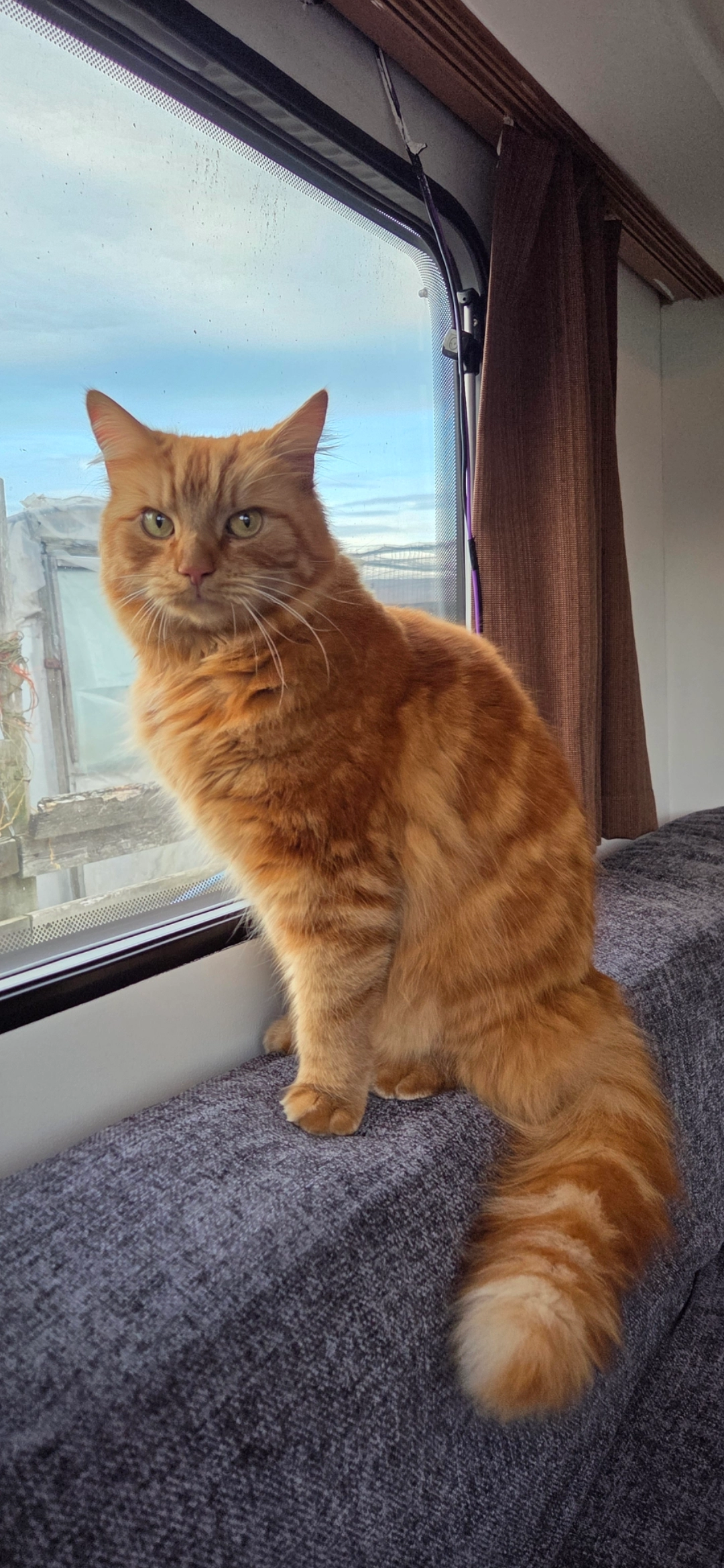 Oliver - Lodge Hill, Burton upon Trent