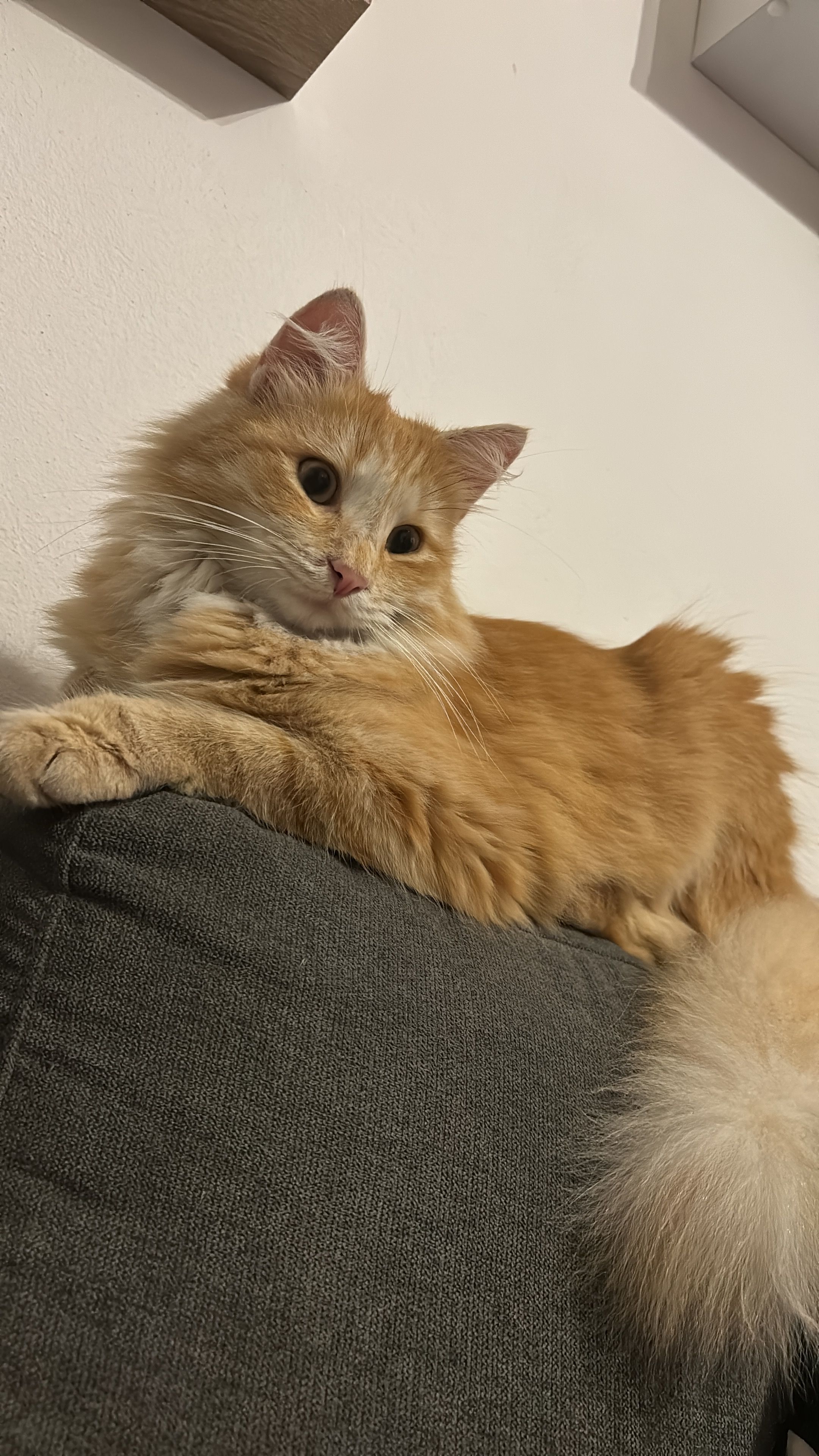 Milow - Sterngasse, Kaltern an der Weinstraße