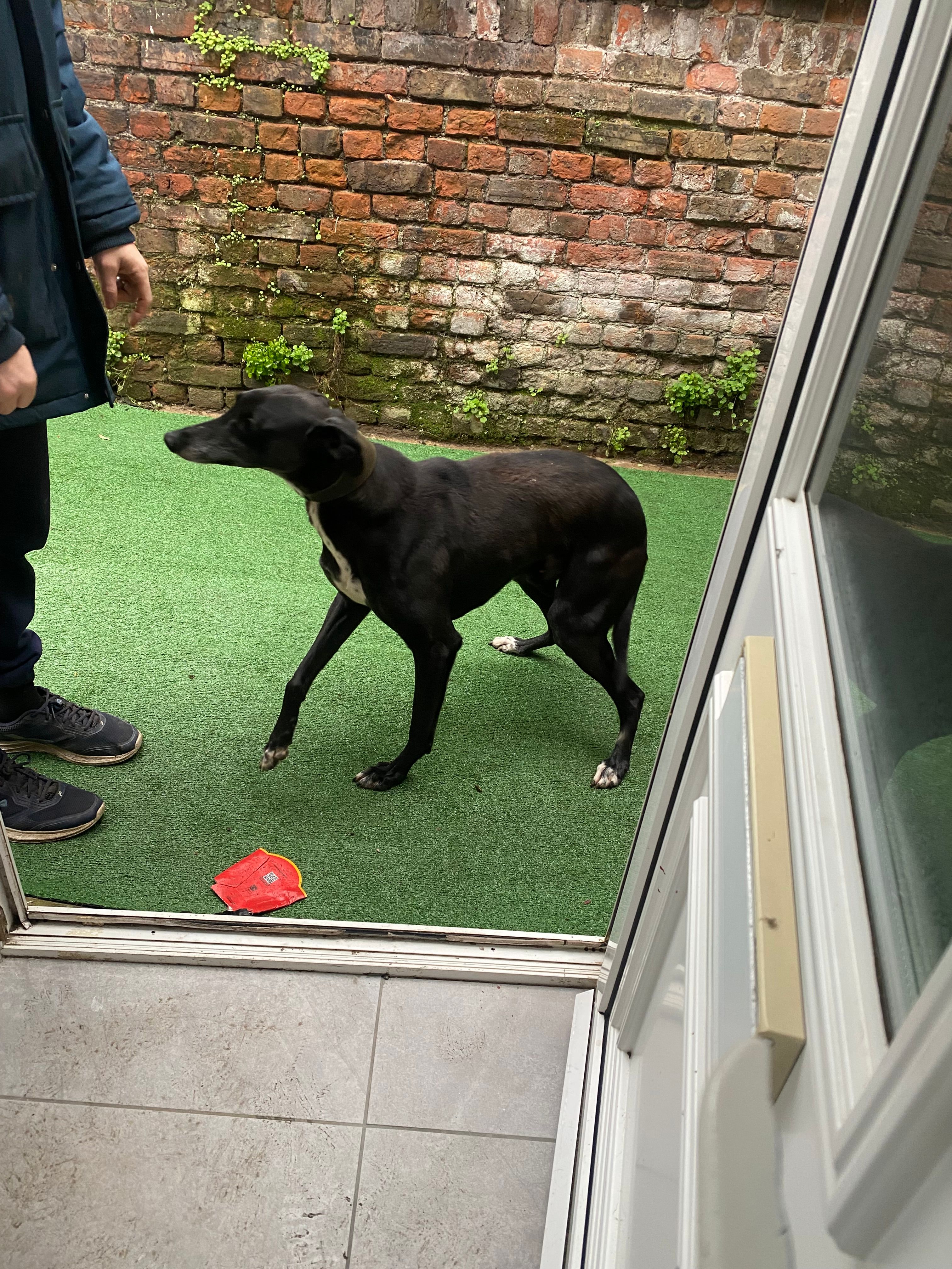 Master  - PE13 3, Wisbech