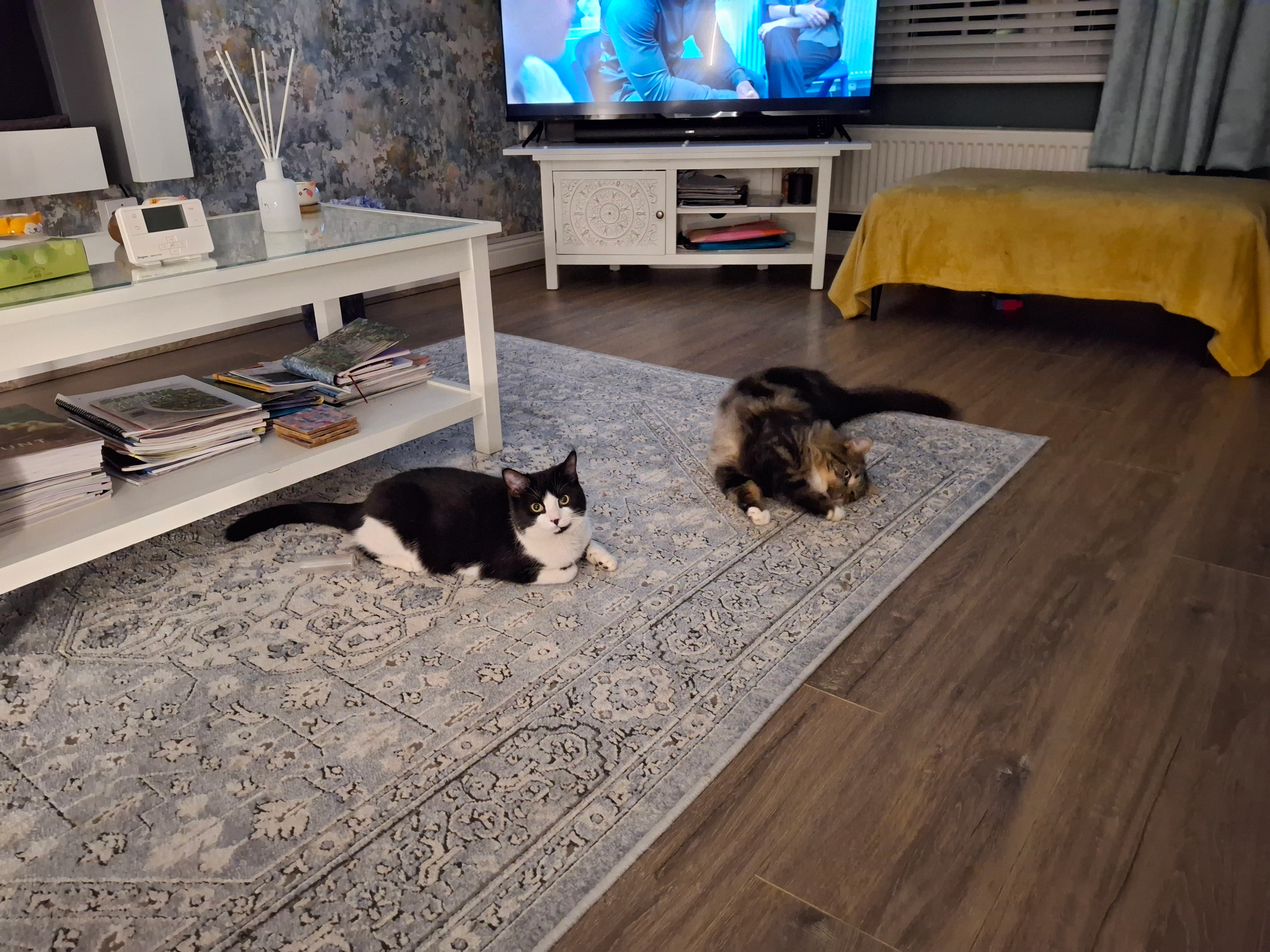 Betsy  - Lon Elfod, Wales