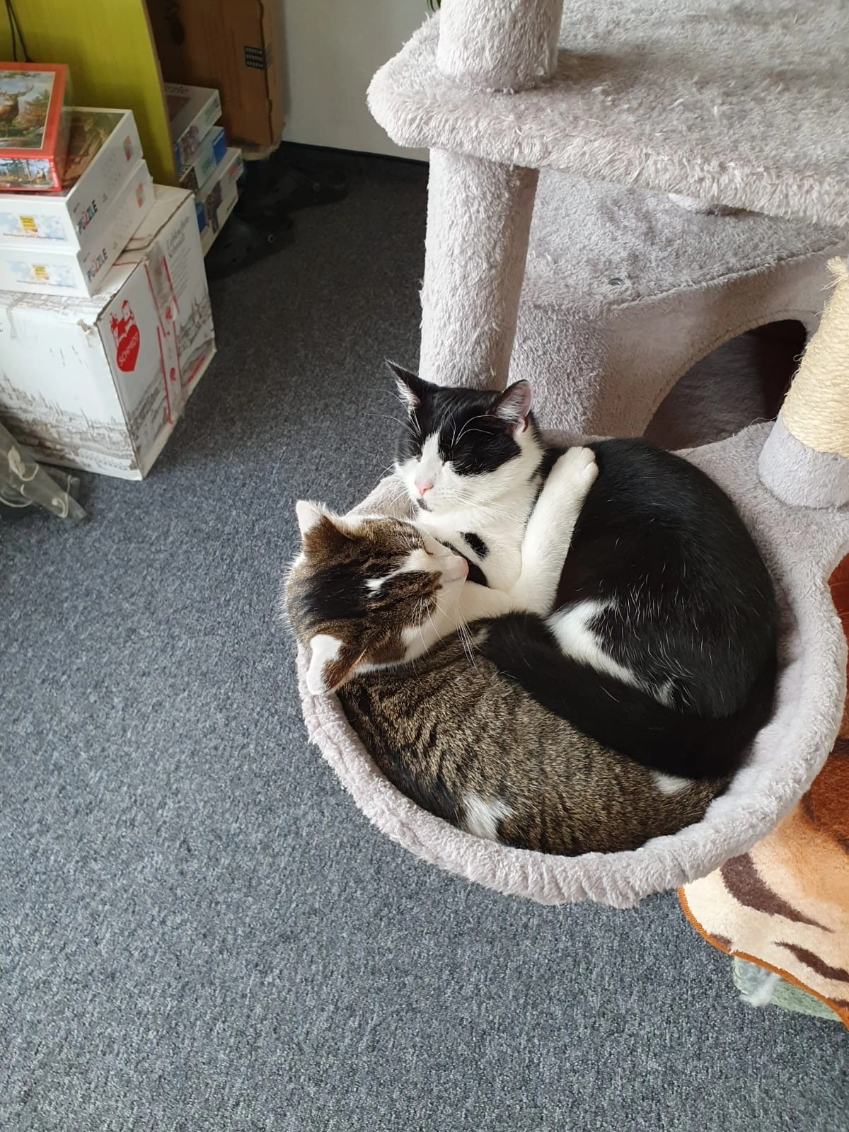 Maya - Carl-Perzel-Straße, Schierling